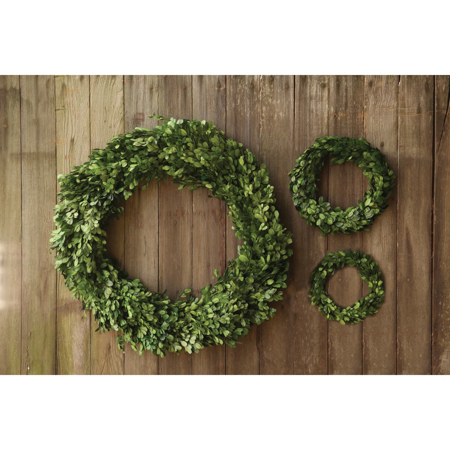 Preserved Genuine Boxwood Wreath