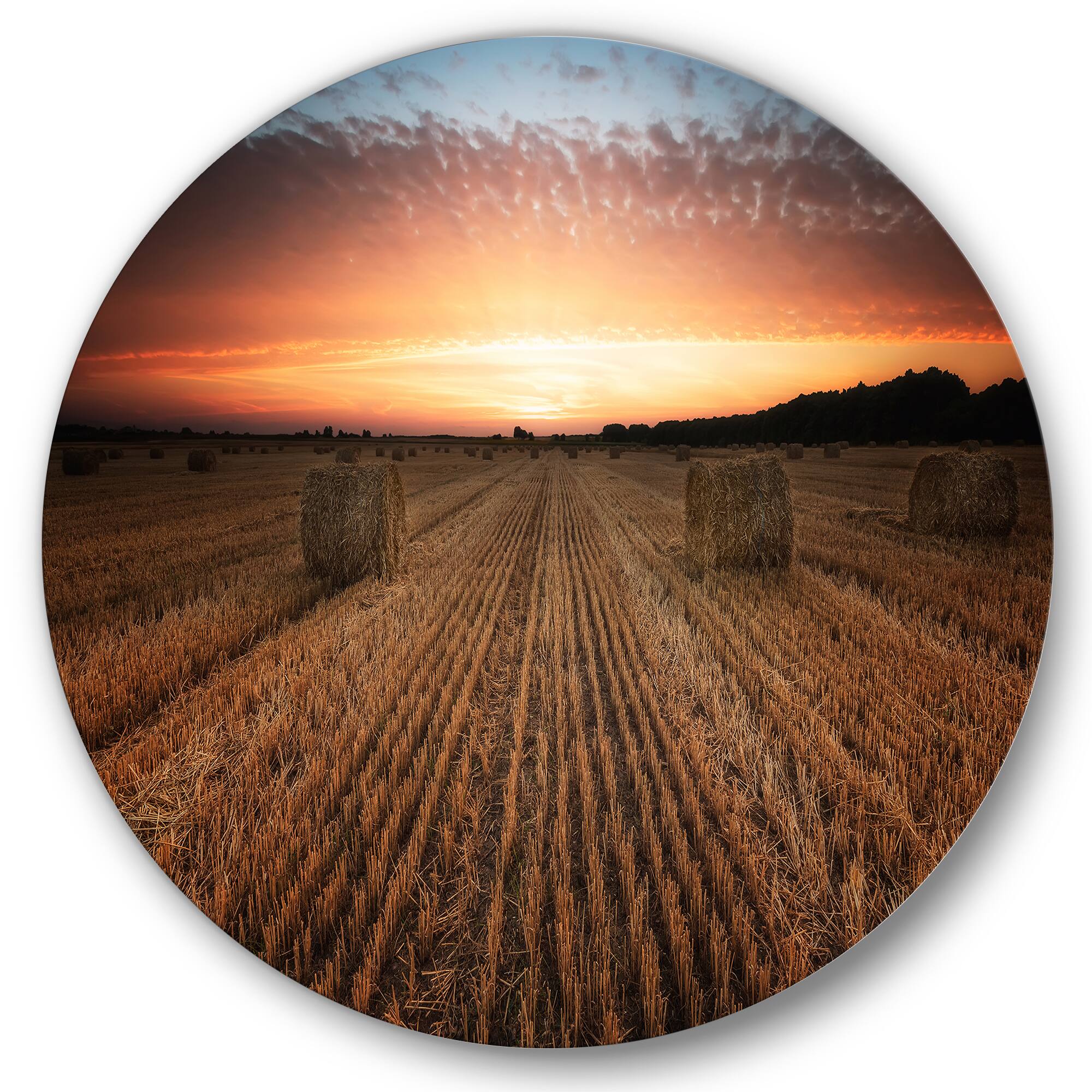 Designart - Landscape With A Field Full of Hay Bales At Sunset - Farmhouse Metal Circle Wall Art
