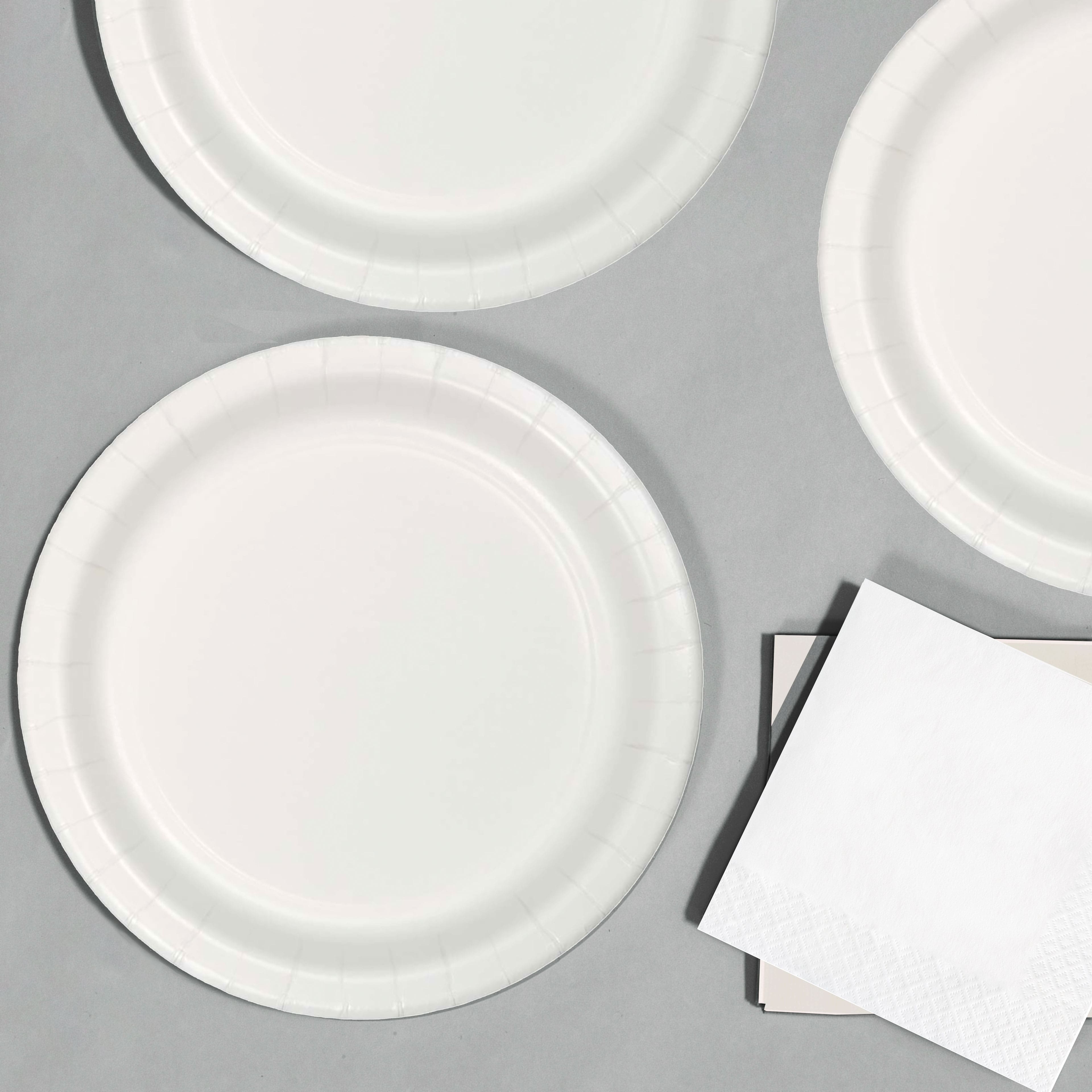 9&#x22; Solid Paper Plates, 24ct.