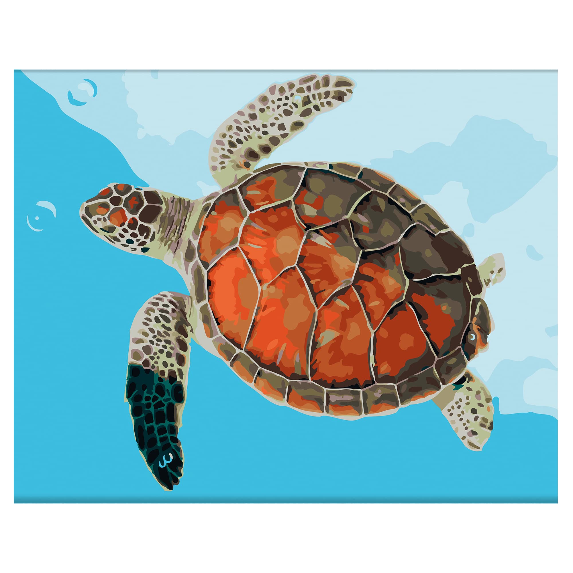 Sea Turtle Color By Number
