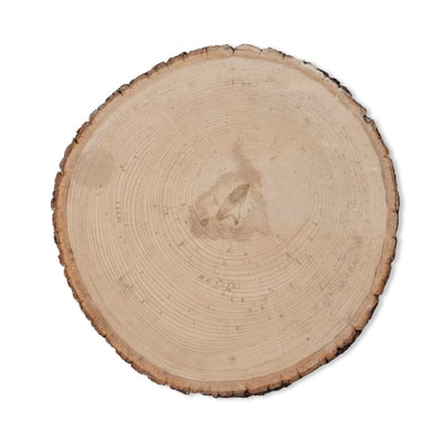 LARAS CRAFTS Round Rustic Poplar Wood with Bark Plaque 