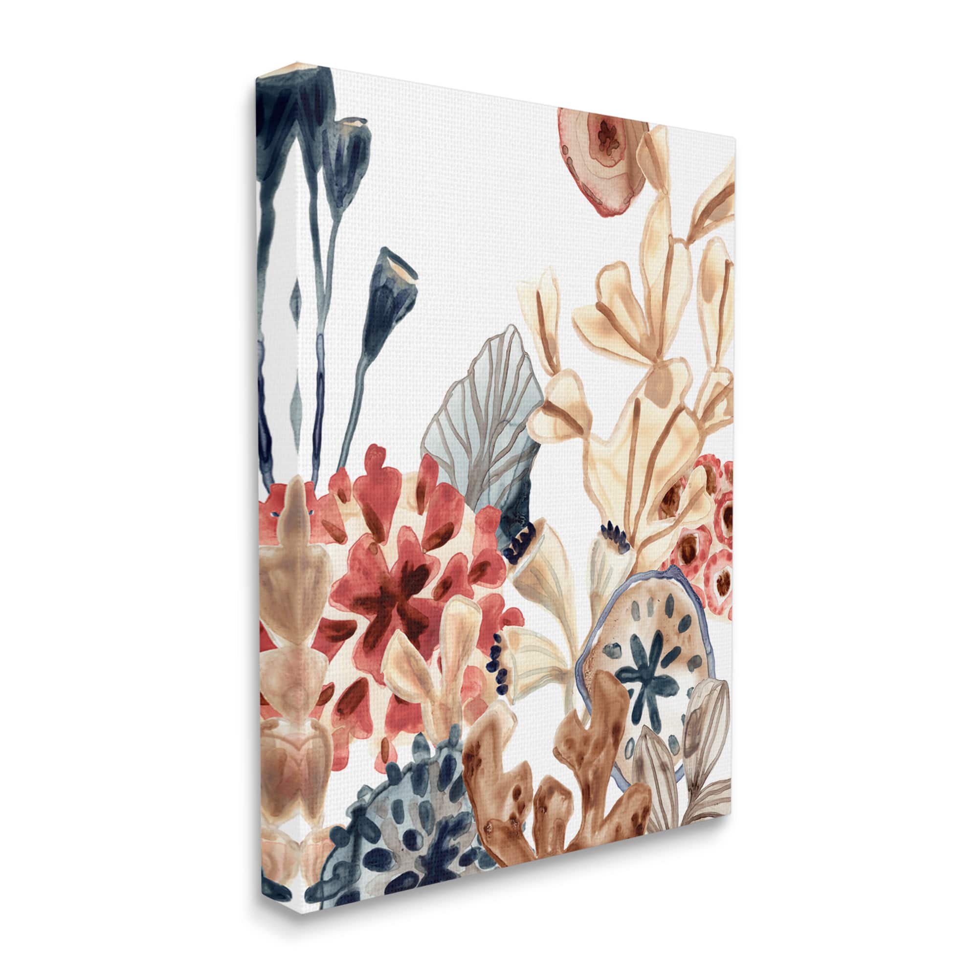 Stupell Industries Aquatic Plant Life Assortment Coral Kelp Sand Dollars Canvas Wall Art