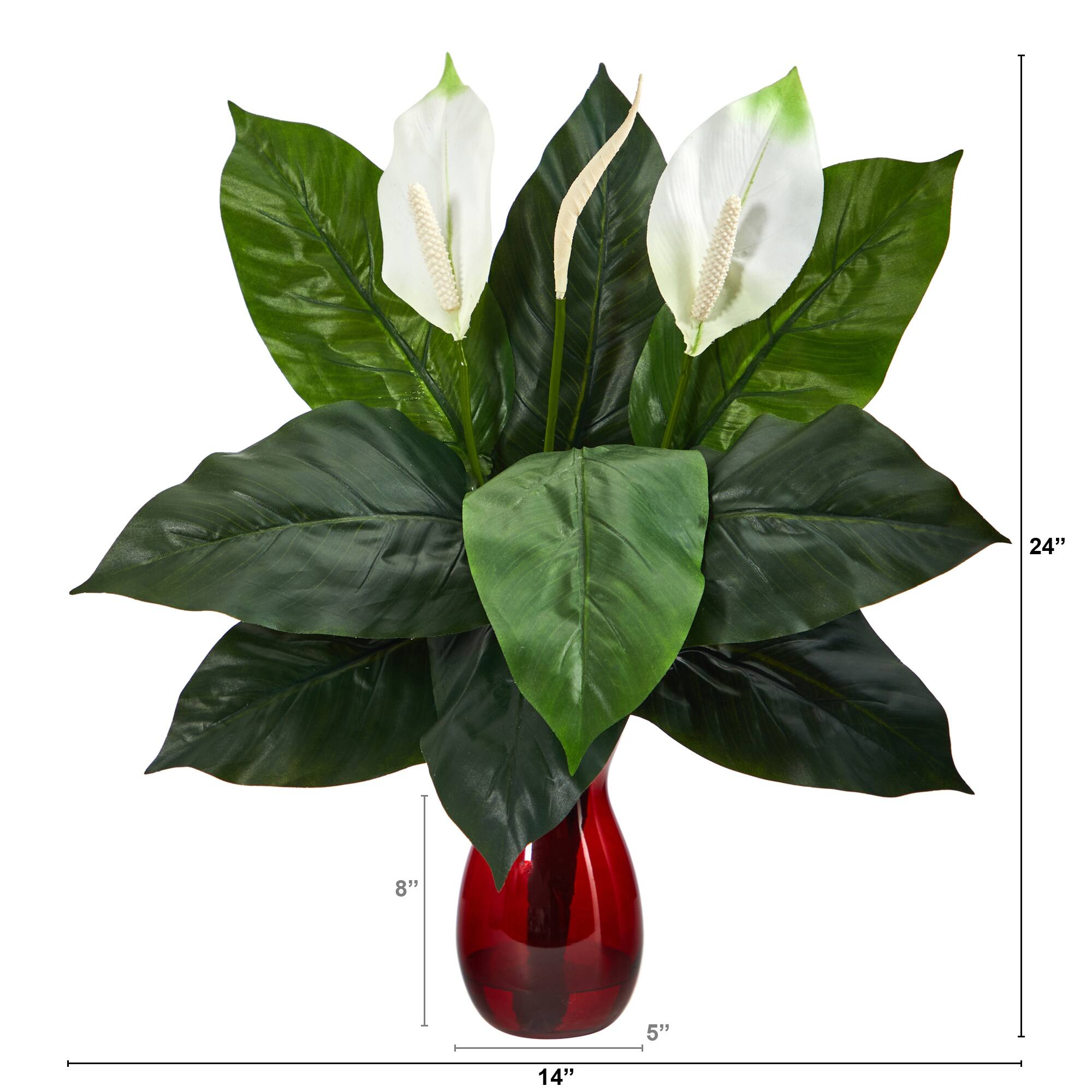 24&#x22; Spathiphyllum Artificial Plant in Ruby Planter