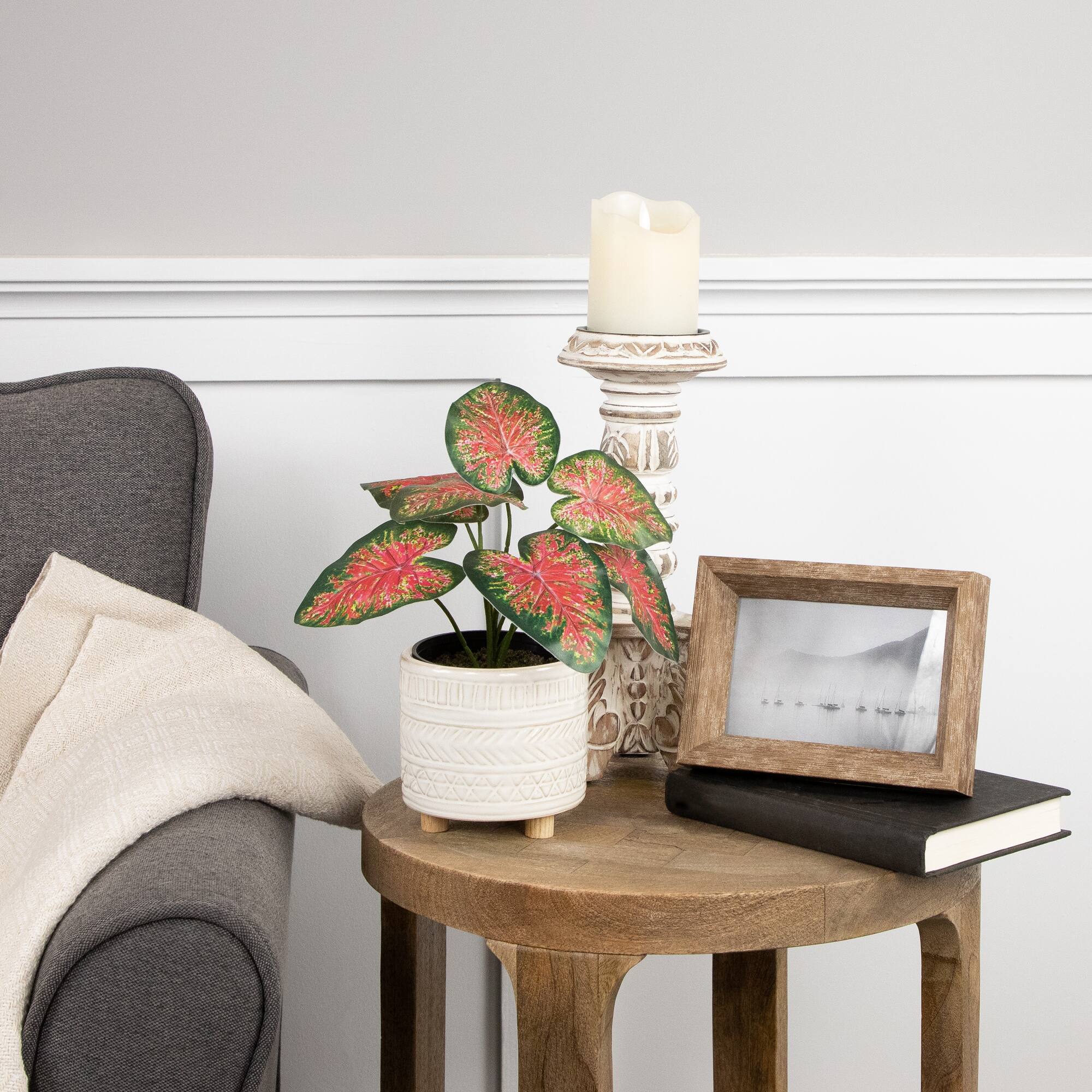 8" Potted Rohdea Plant