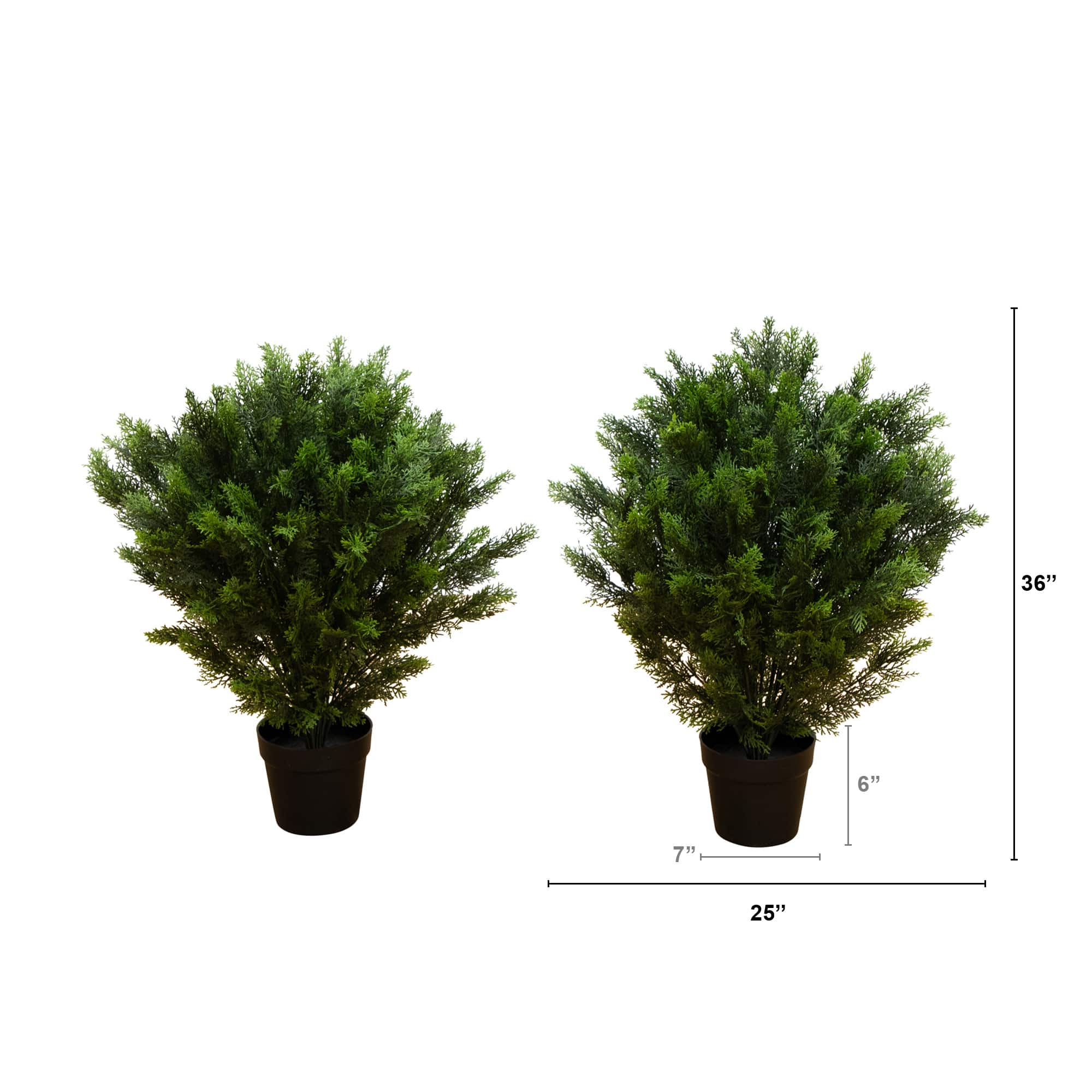 3ft. Potted UV Resistant Cedar Trees, 2ct.