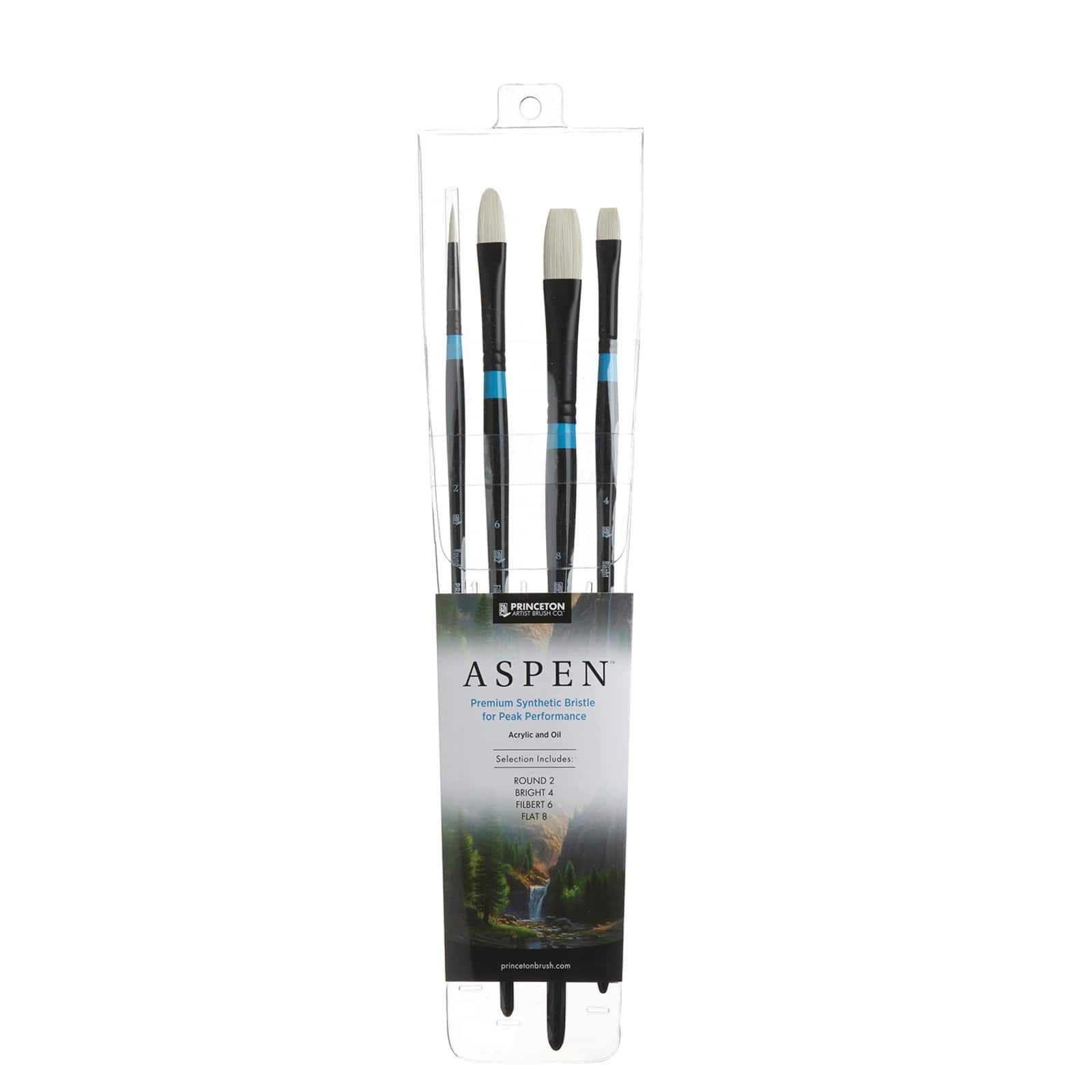 Princeton&#x2122; Aspen&#x2122; Professional Brush Set