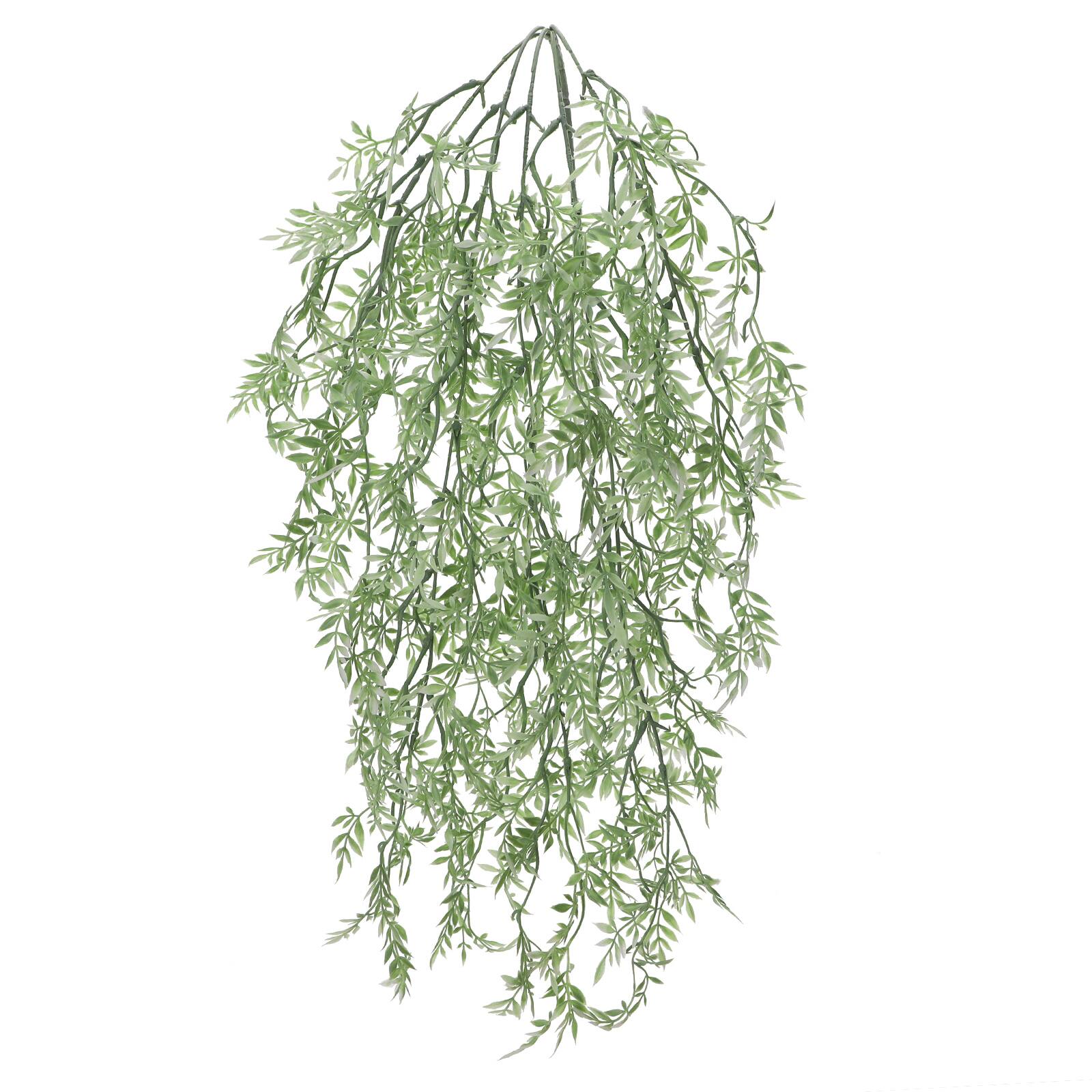 Green & White Hanging Ficus Bush by Ashland® | Michaels