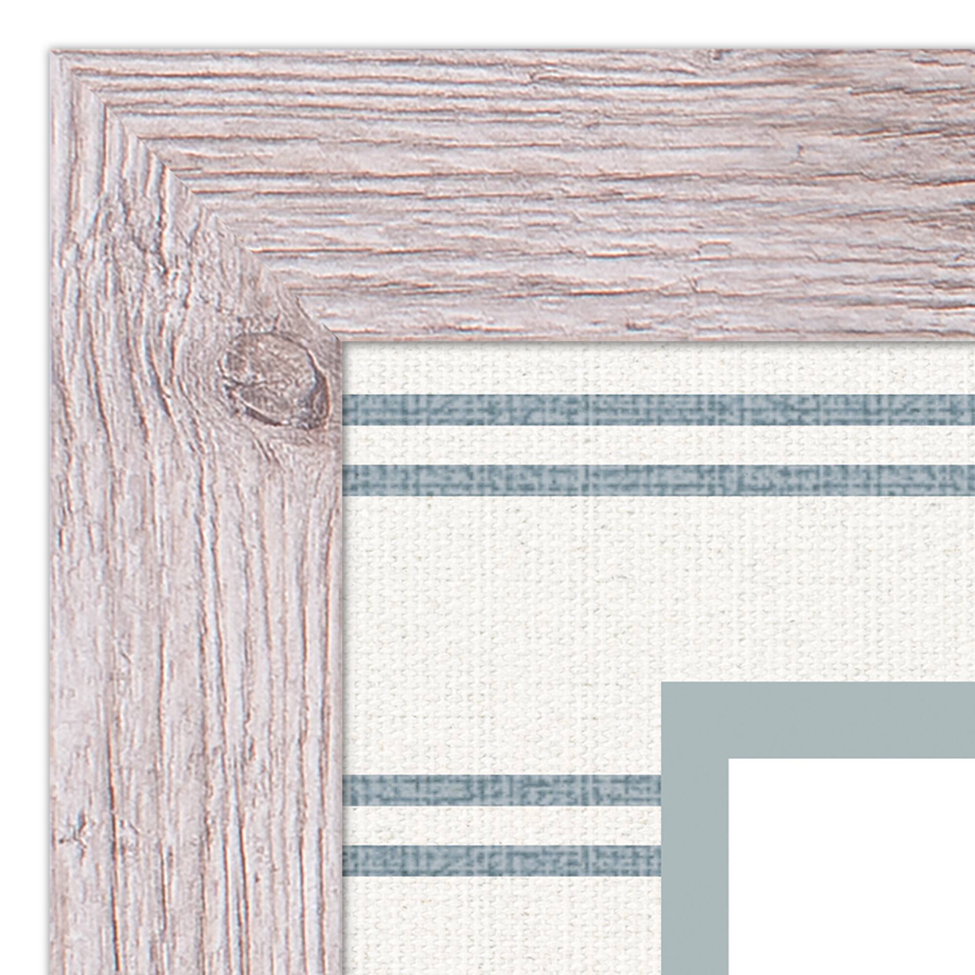 Snail & Banded Tulip Shell Western Framed Print