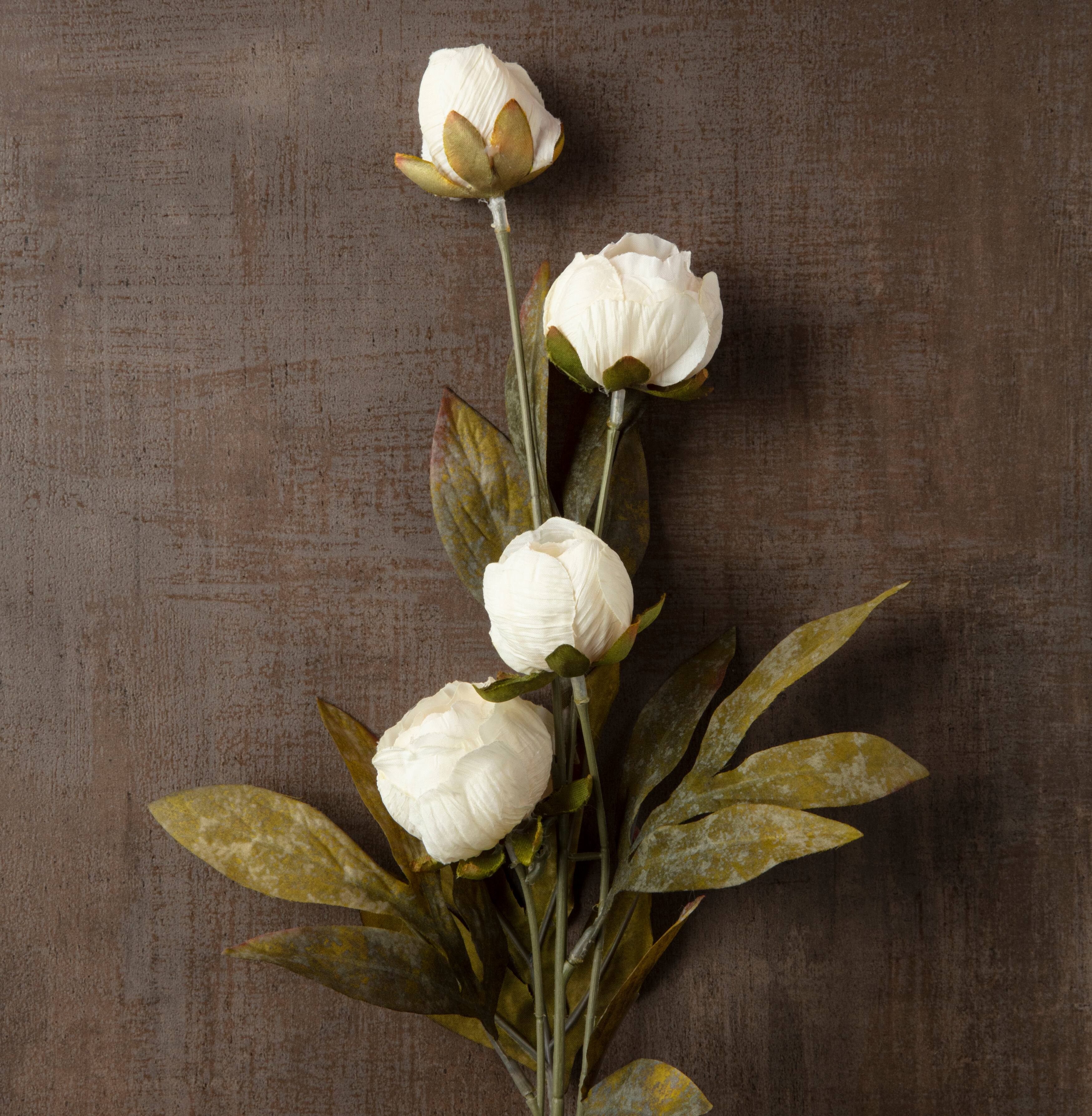 Cream Multi-Stem Dry Peony by Ashland&#xAE;