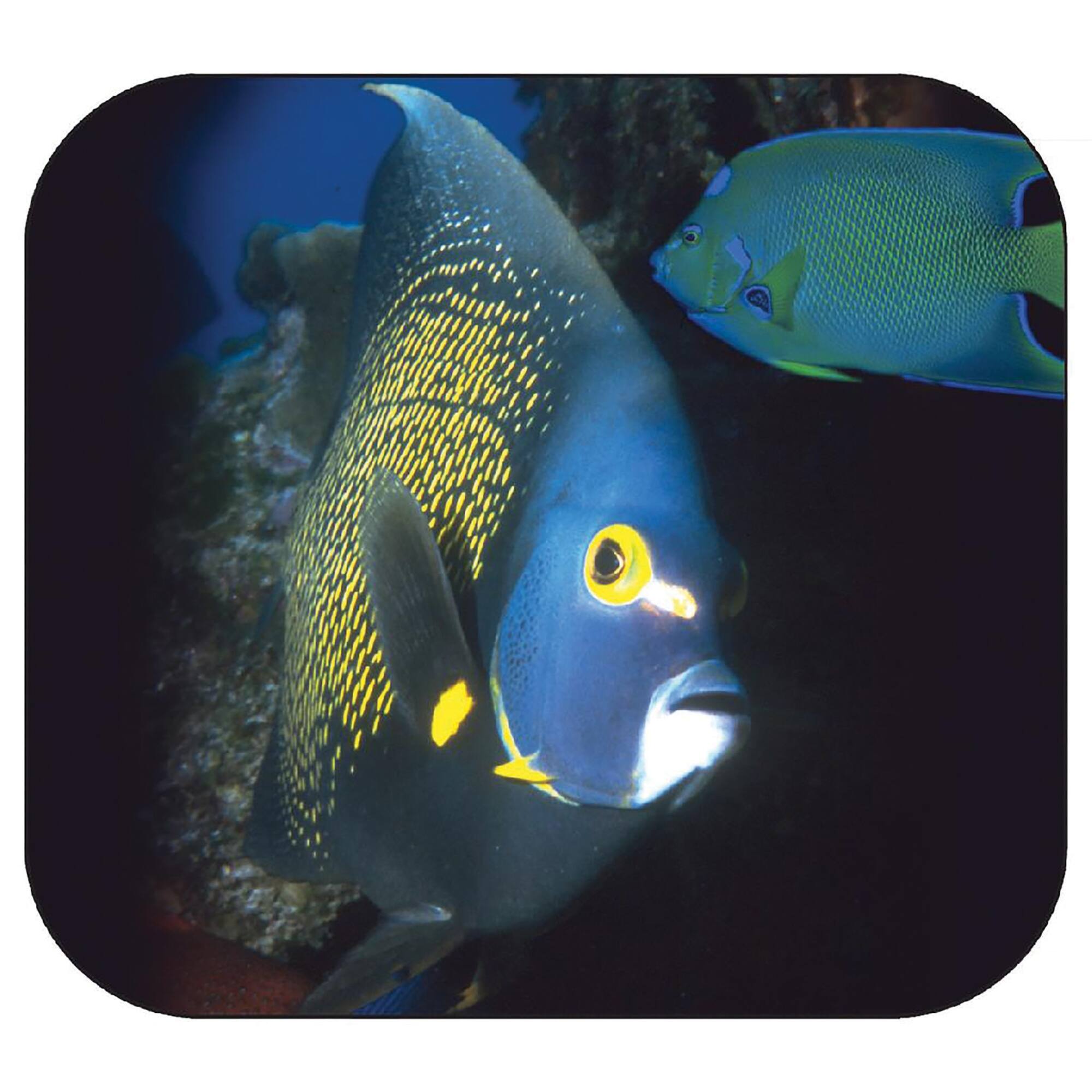 Schylling View-Master® Discovery Kids™ Boxed Set