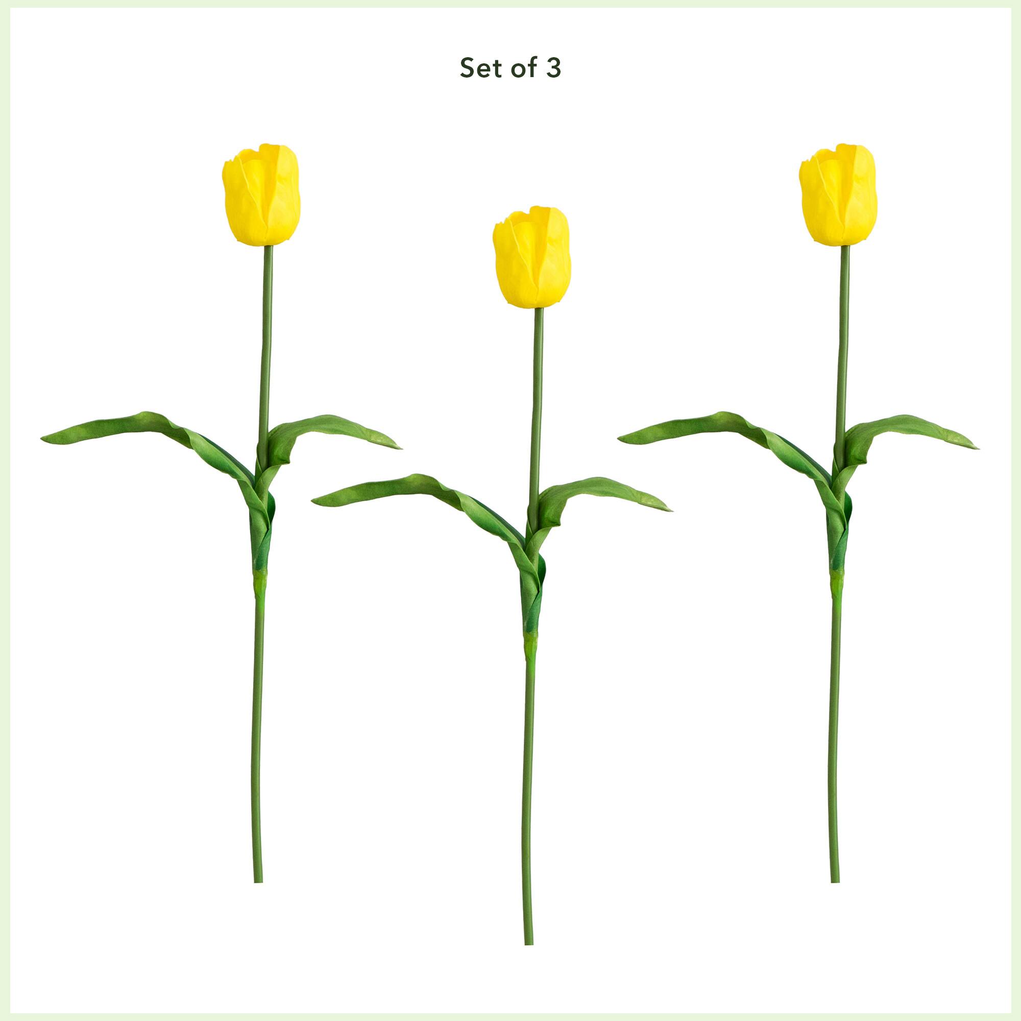 25&#x22; Yellow Tulip Flower Stems, 3ct.