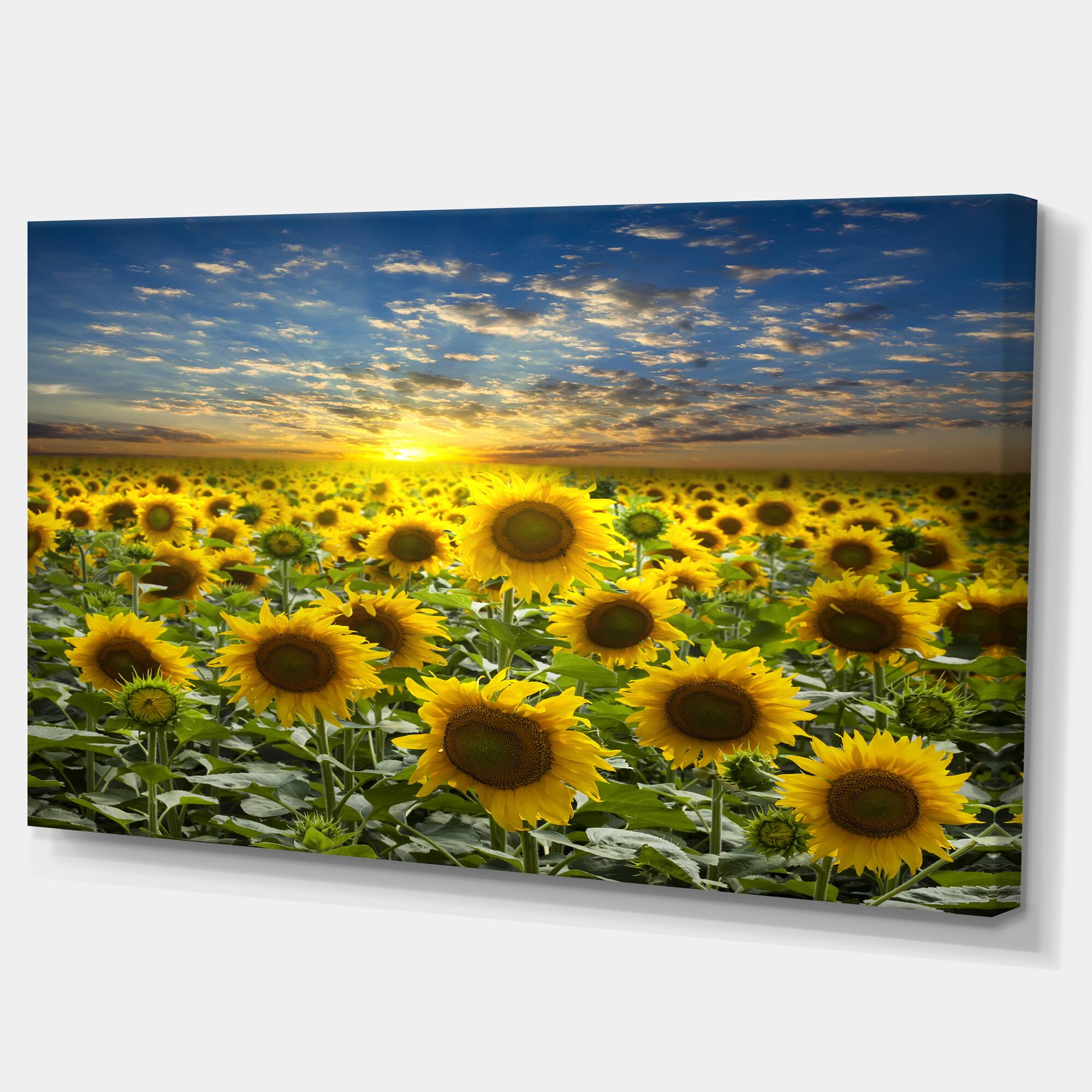 Designart - Field of Blooming Sunflowers - Large Flower Canvas Wall Art