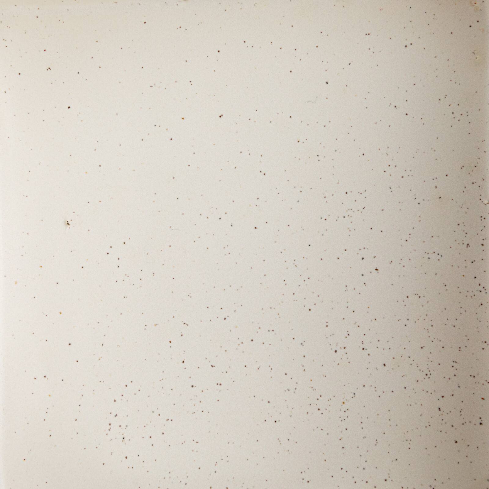 Hello Honey® 6" Wide Green & White Avian Grace Stoneware Napkin Holder with Weight