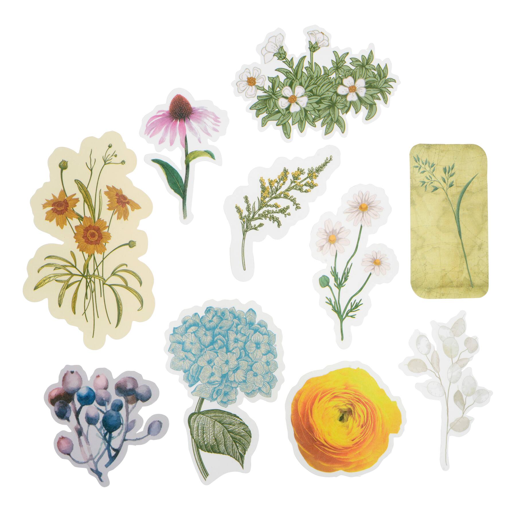 12 Pack: Flowers Vellum Ephemera by Recollections™