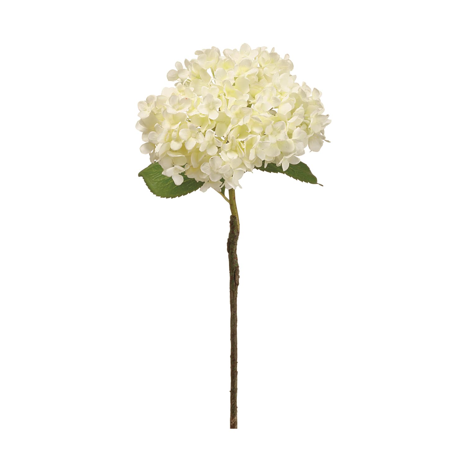 White Hydrangea Spray