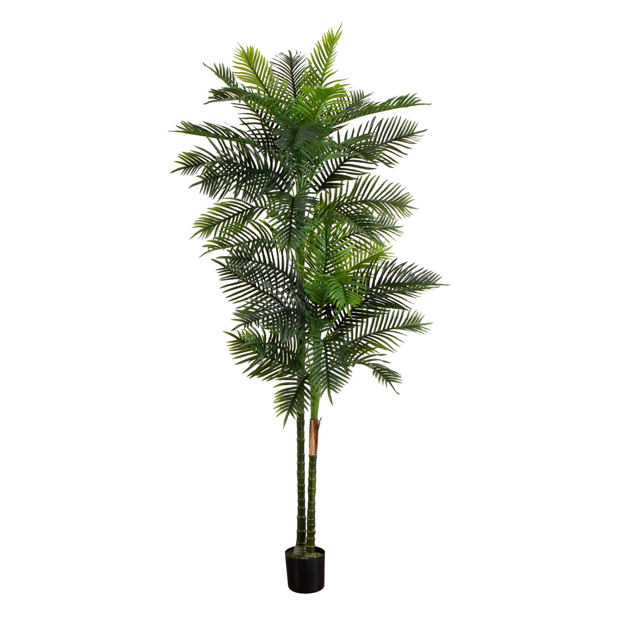 9ft. Potted Green UV Resistant Artificial Double Robellini Palm Tree