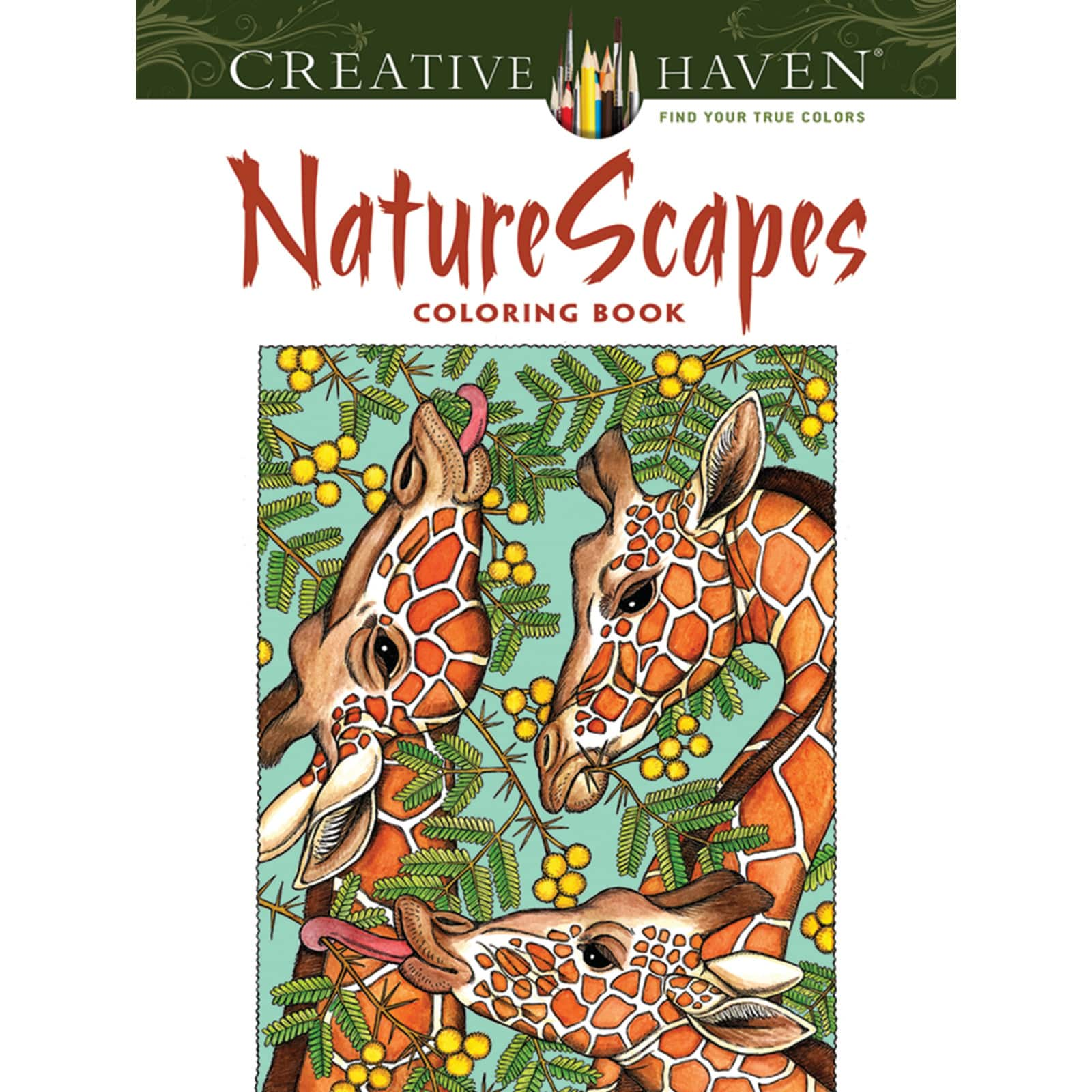 Download Creative Haven Naturescapes Coloring Book Michaels