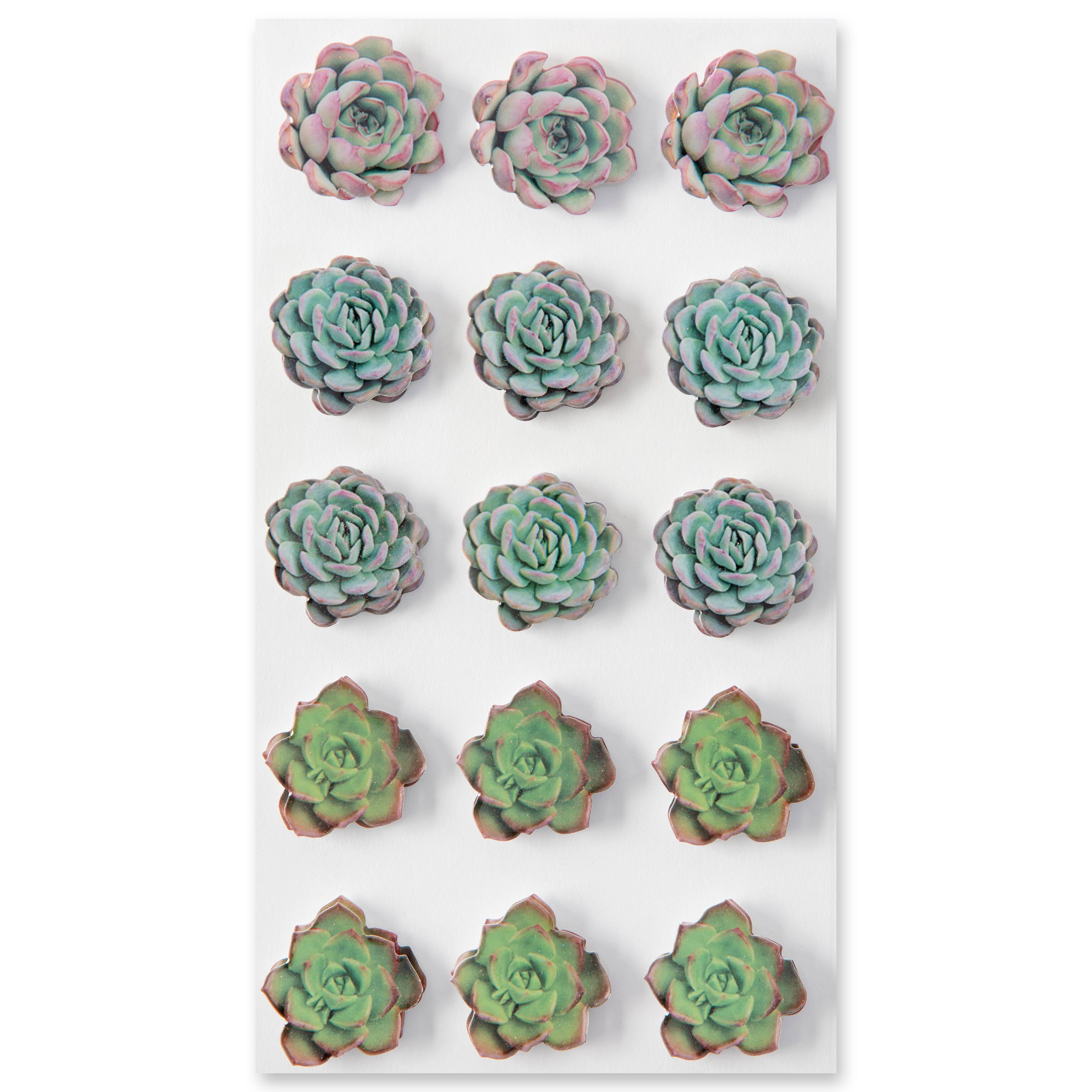 12 Packs: 15 ct. (180 total) Succulent Stickers by Recollections&#x2122;