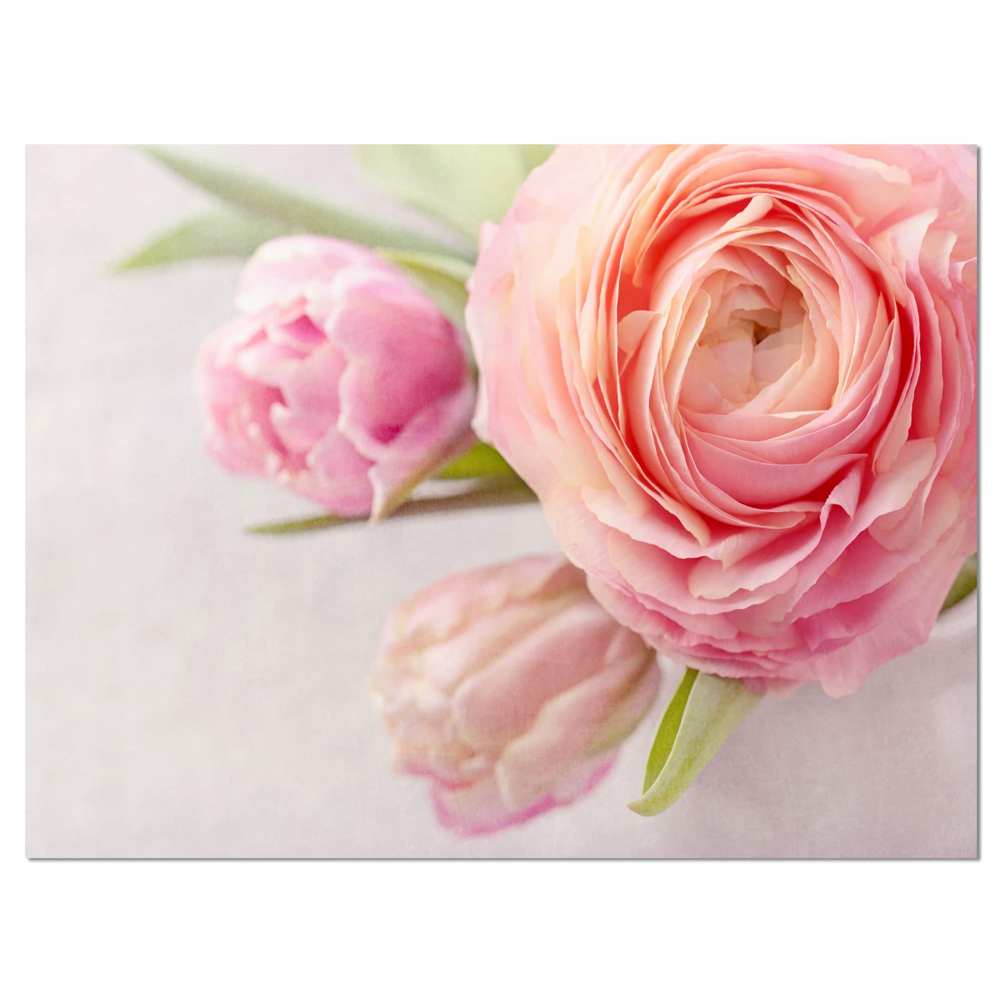 Designart - Full Bloom and Blooming Flowers - Floral Canvas Art Print