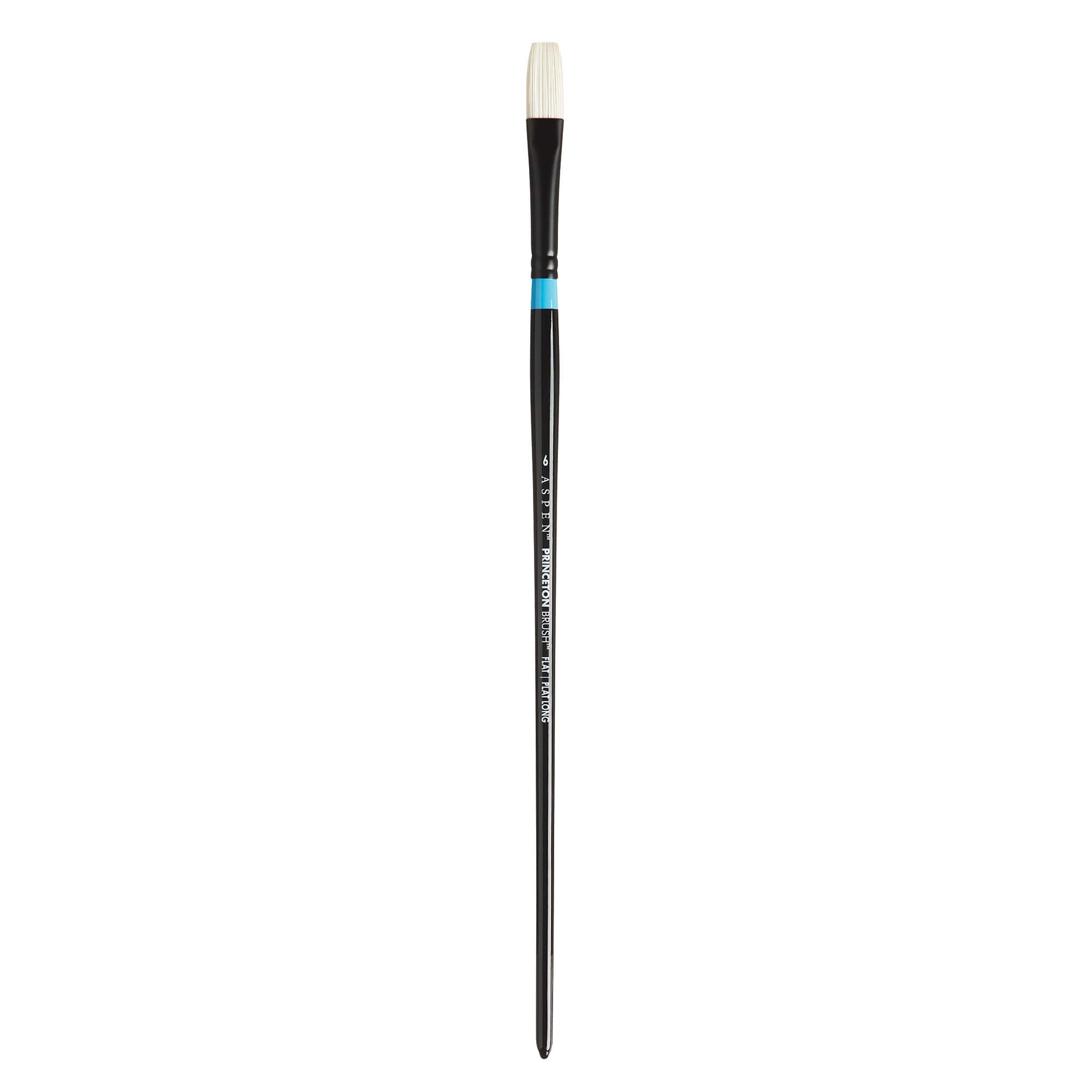 12 Pack: Princeton™ Aspen™ Series 6500 Long Handle Flat Brush