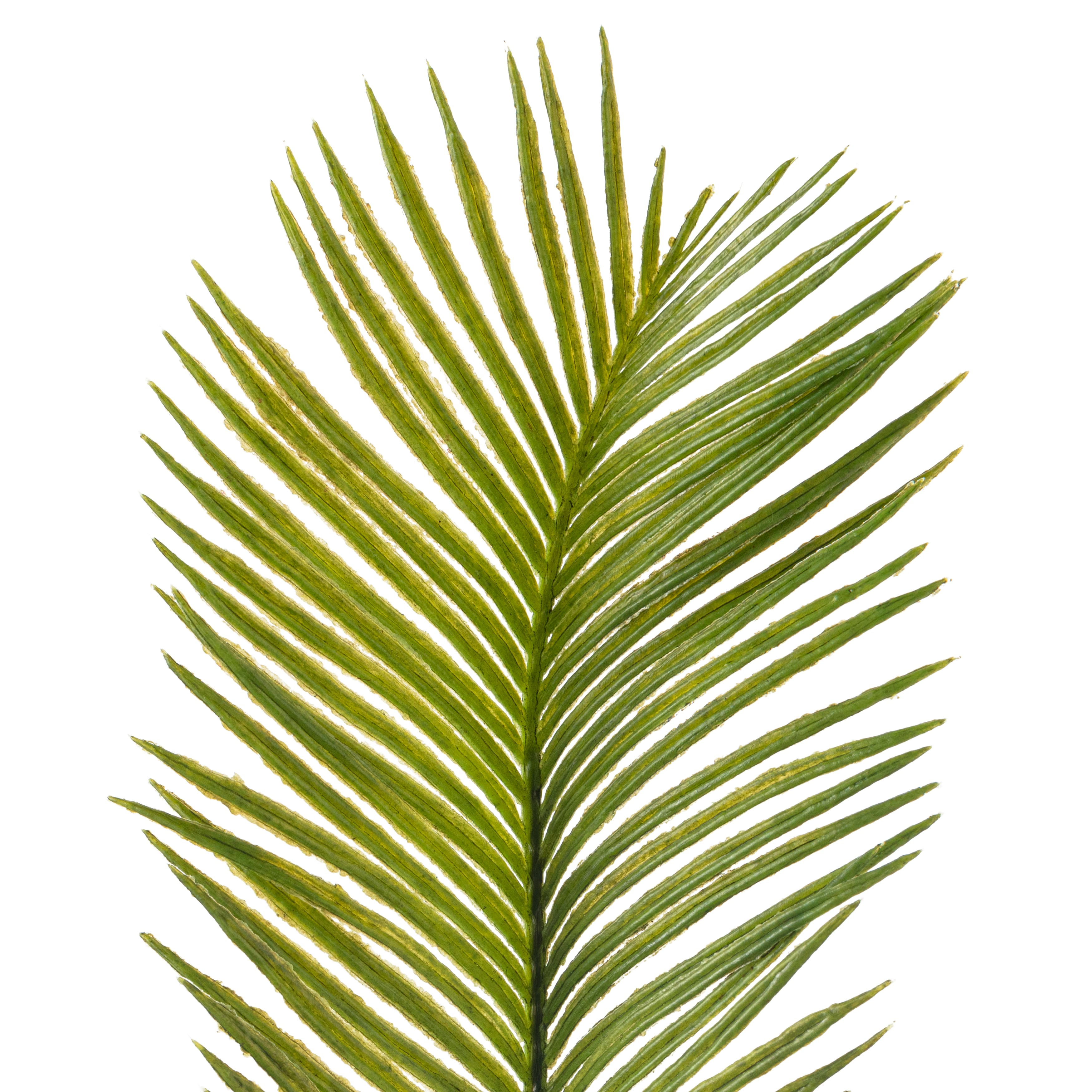 12 Pack: Green Sago Palm Spray by Ashland&#xAE;