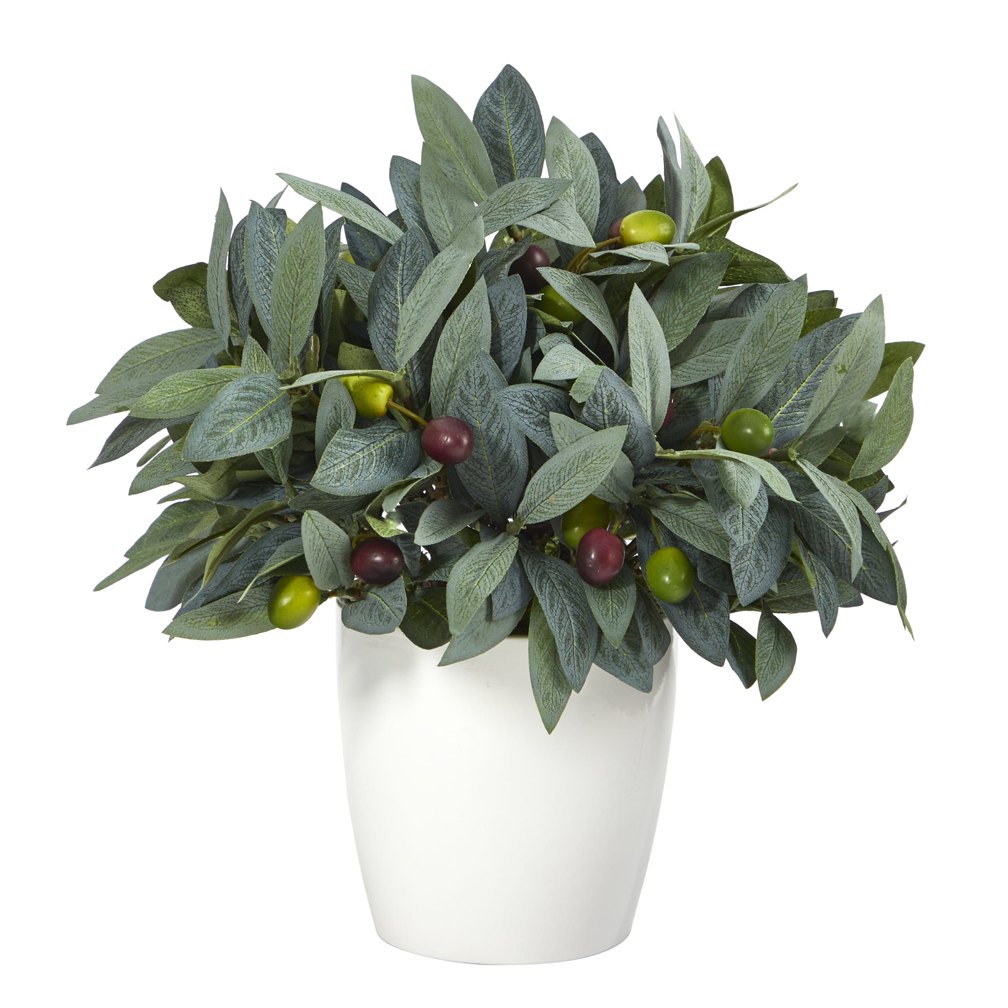 10&#x22; Olive Plant with Berries in White Planter