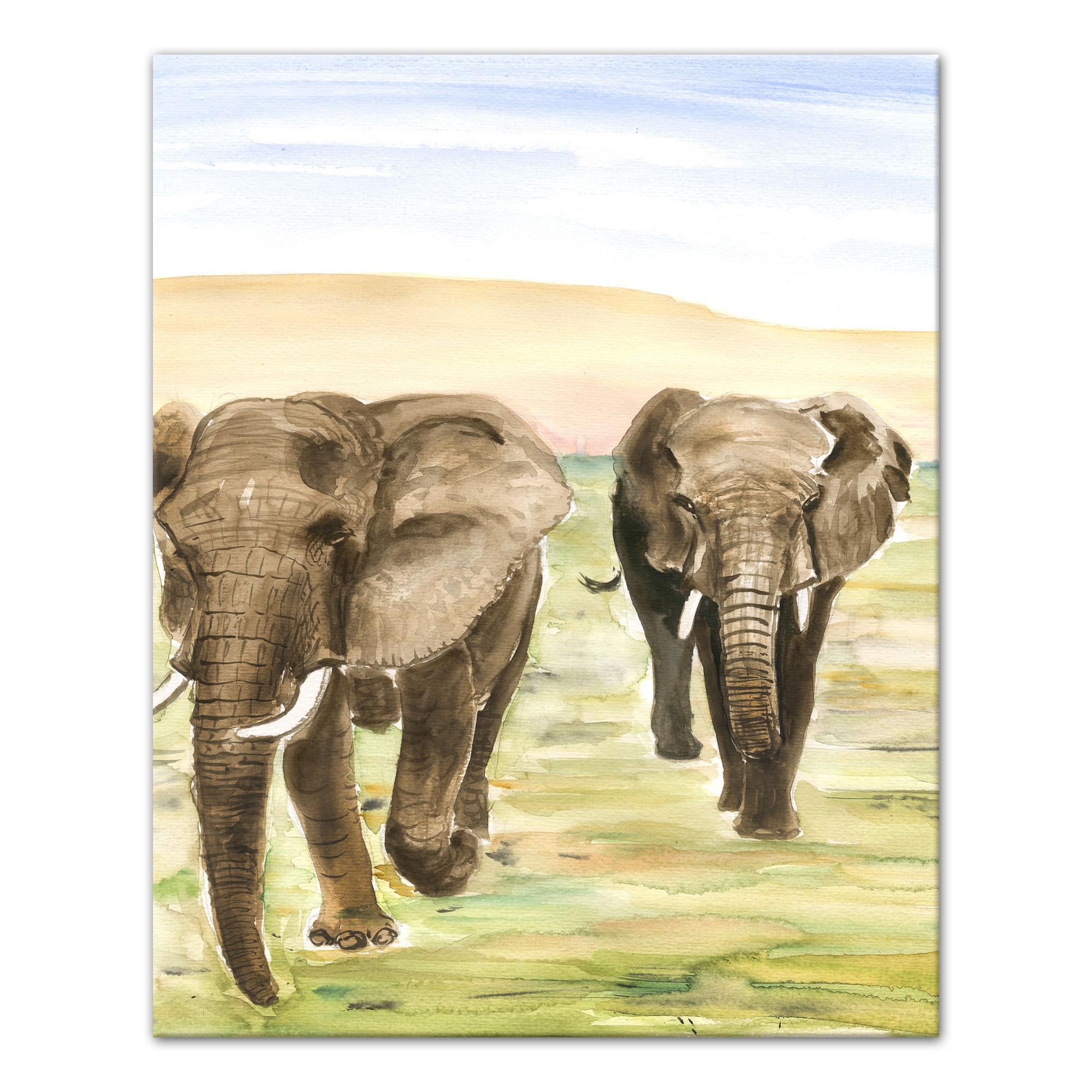 Elephant Couple 16" x 20" Canvas Wall Art