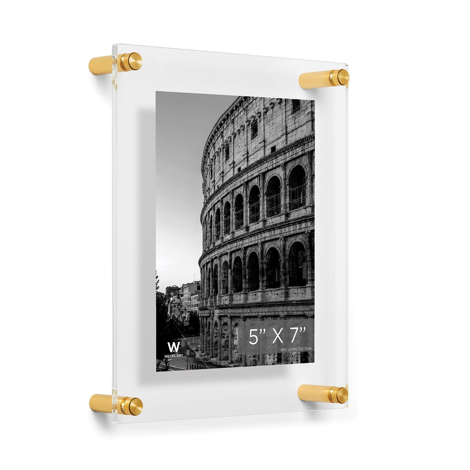 Wexel Art Double Panel Clear Acrylic Floating Wall Frame with Gold Hardware