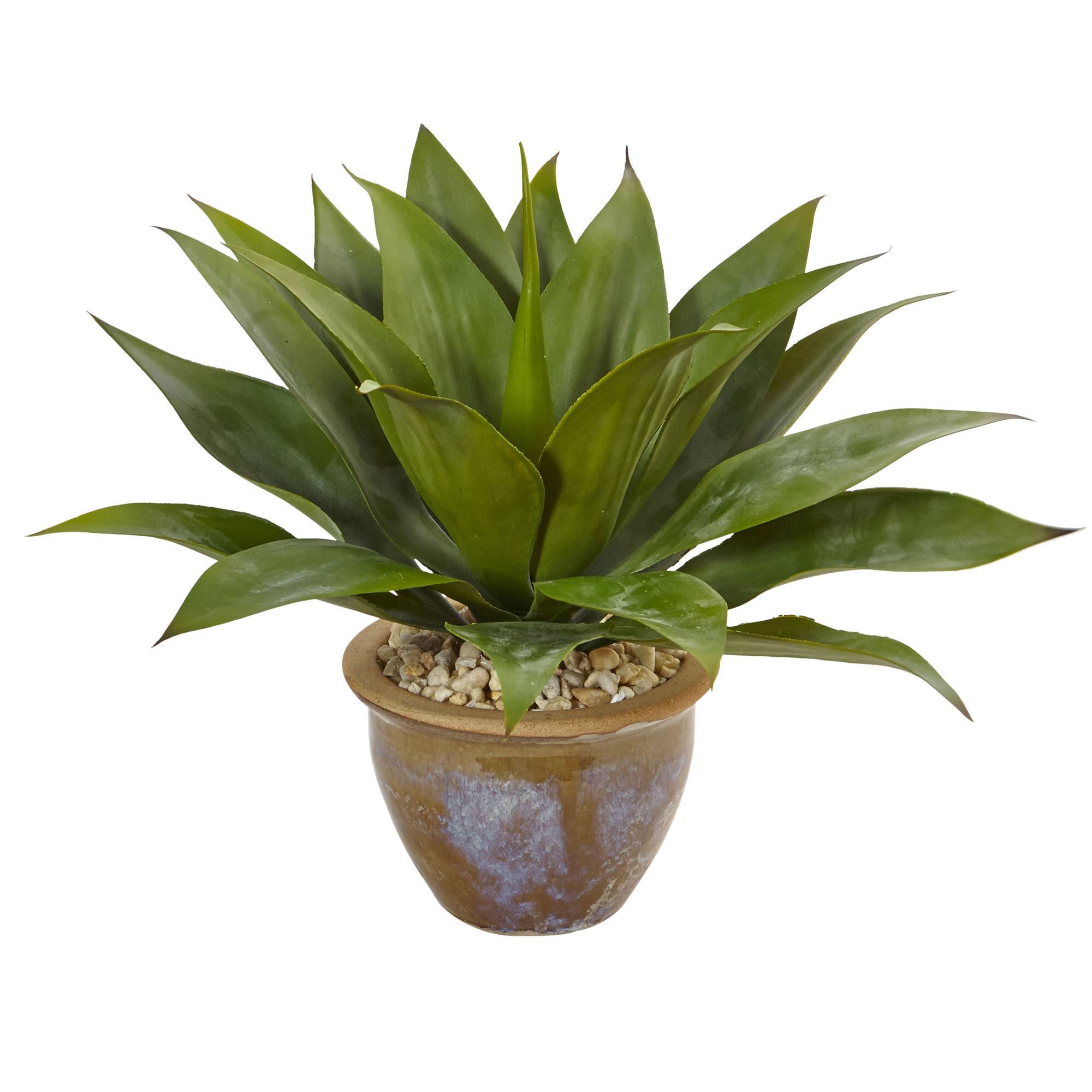 14&#x22; Agave Plant in Glazed Clay Pot