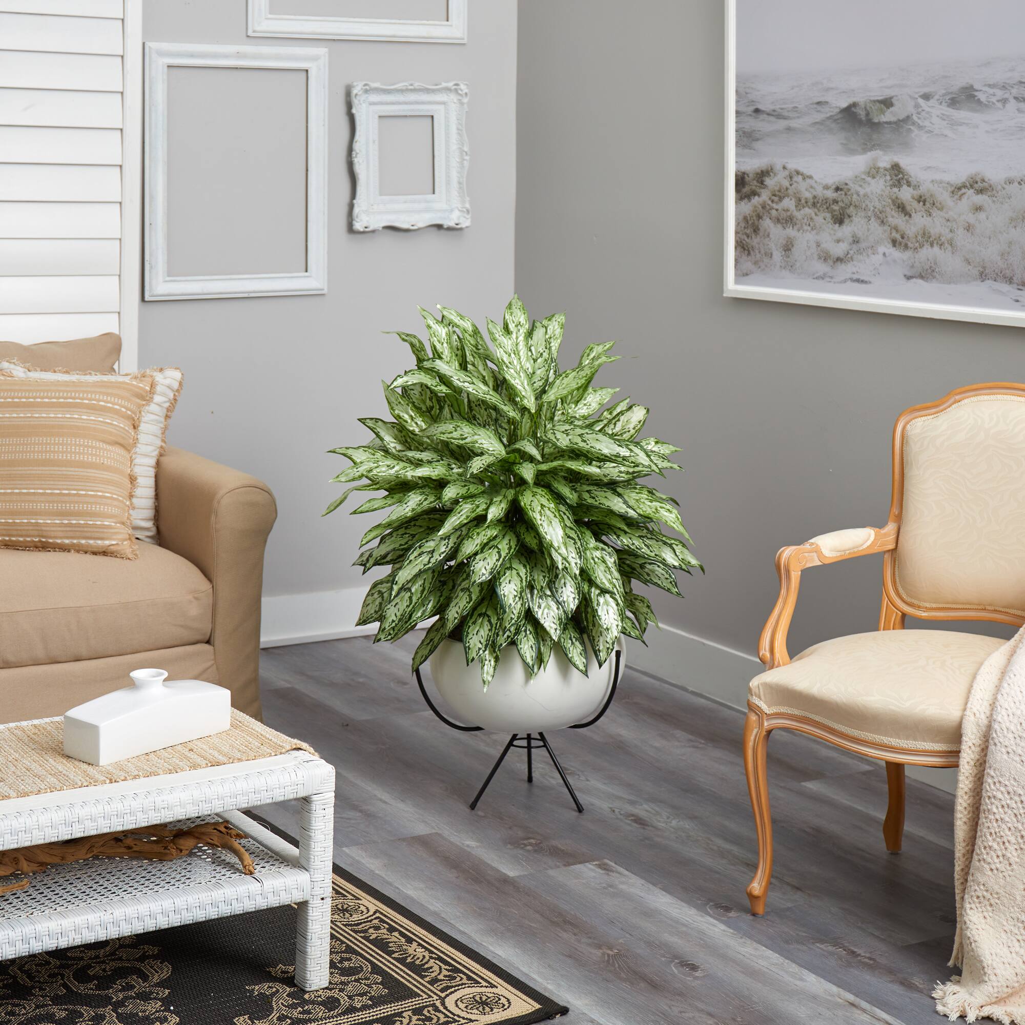 4ft. Silver Queen Plant in White Planter with Metal Stand