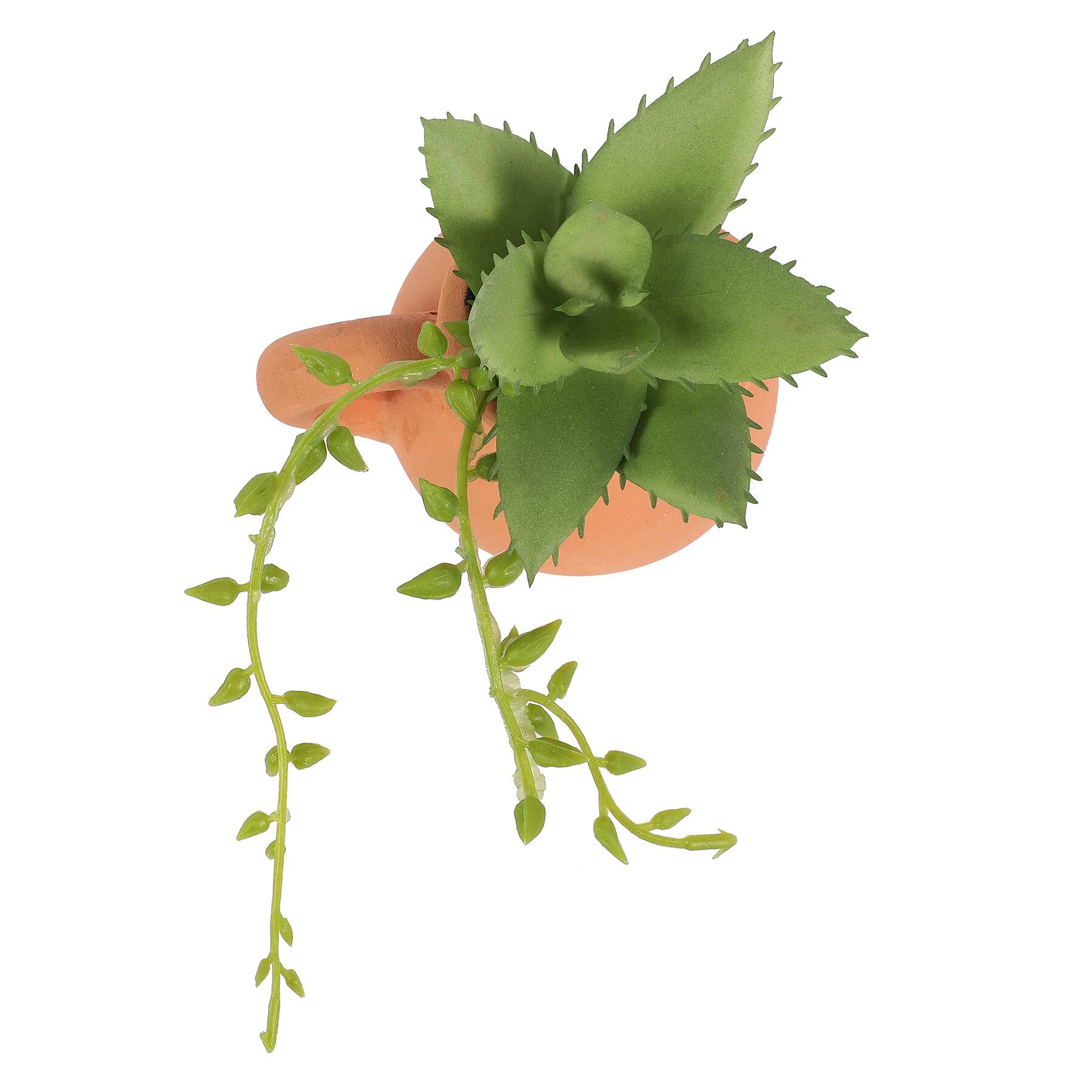 Plante succulente de 4,5 po dans un pichet orange par Ashland&#xAE;