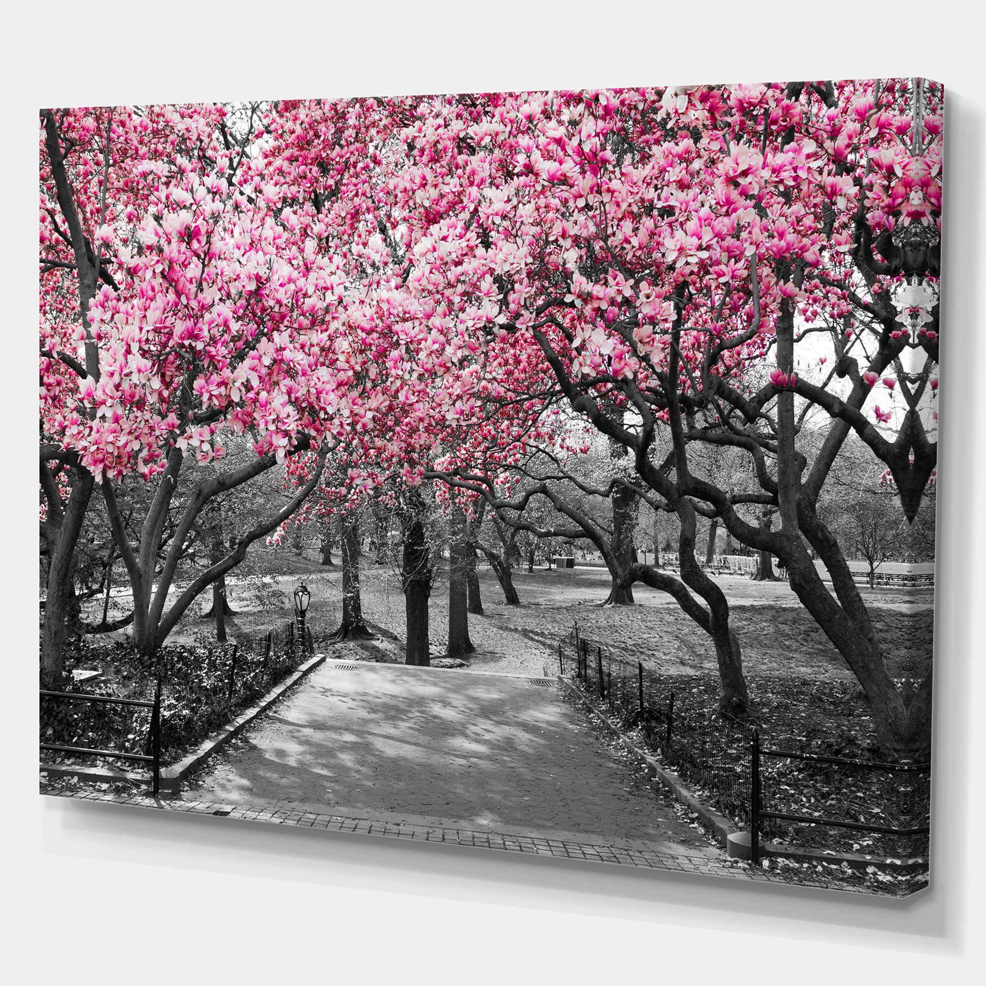 Designart - Cherry Blossoms - Landscapes Floral Photographic on wrapped Canvas