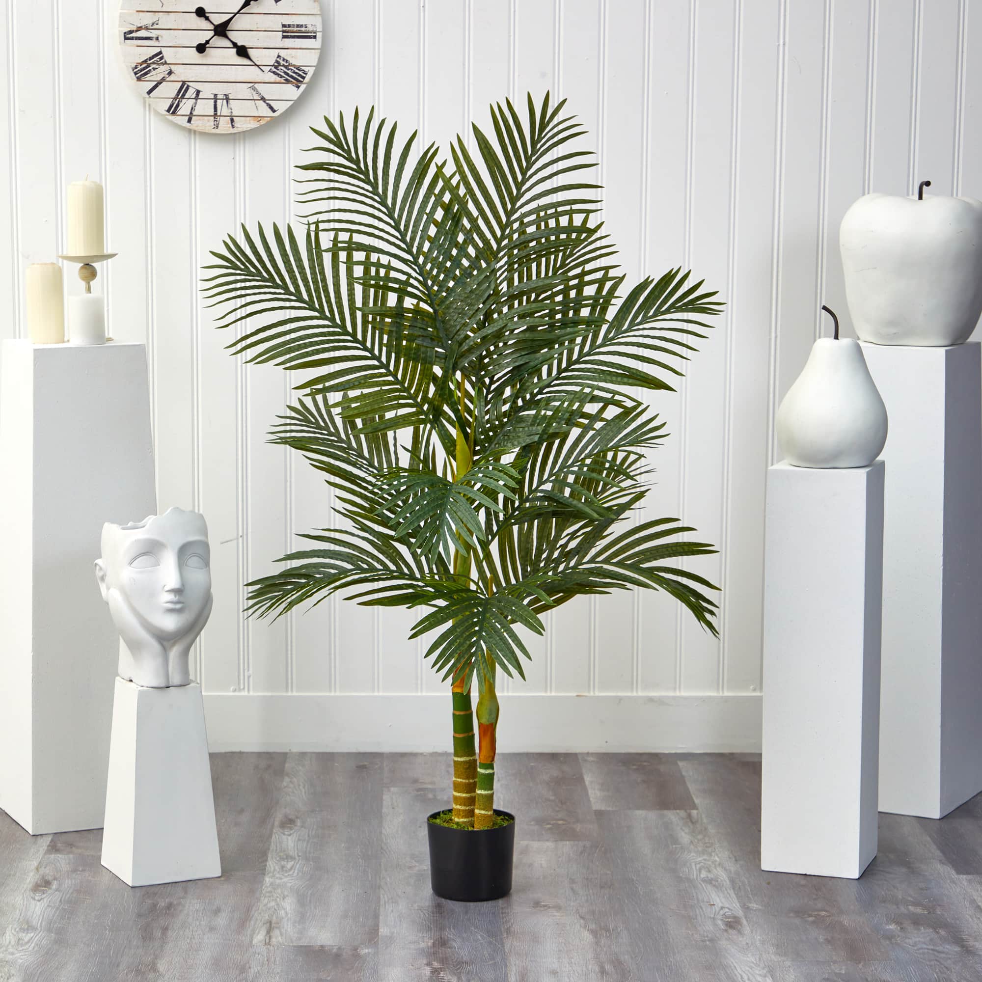 5ft. Potted Golden Cane Palm Tree
