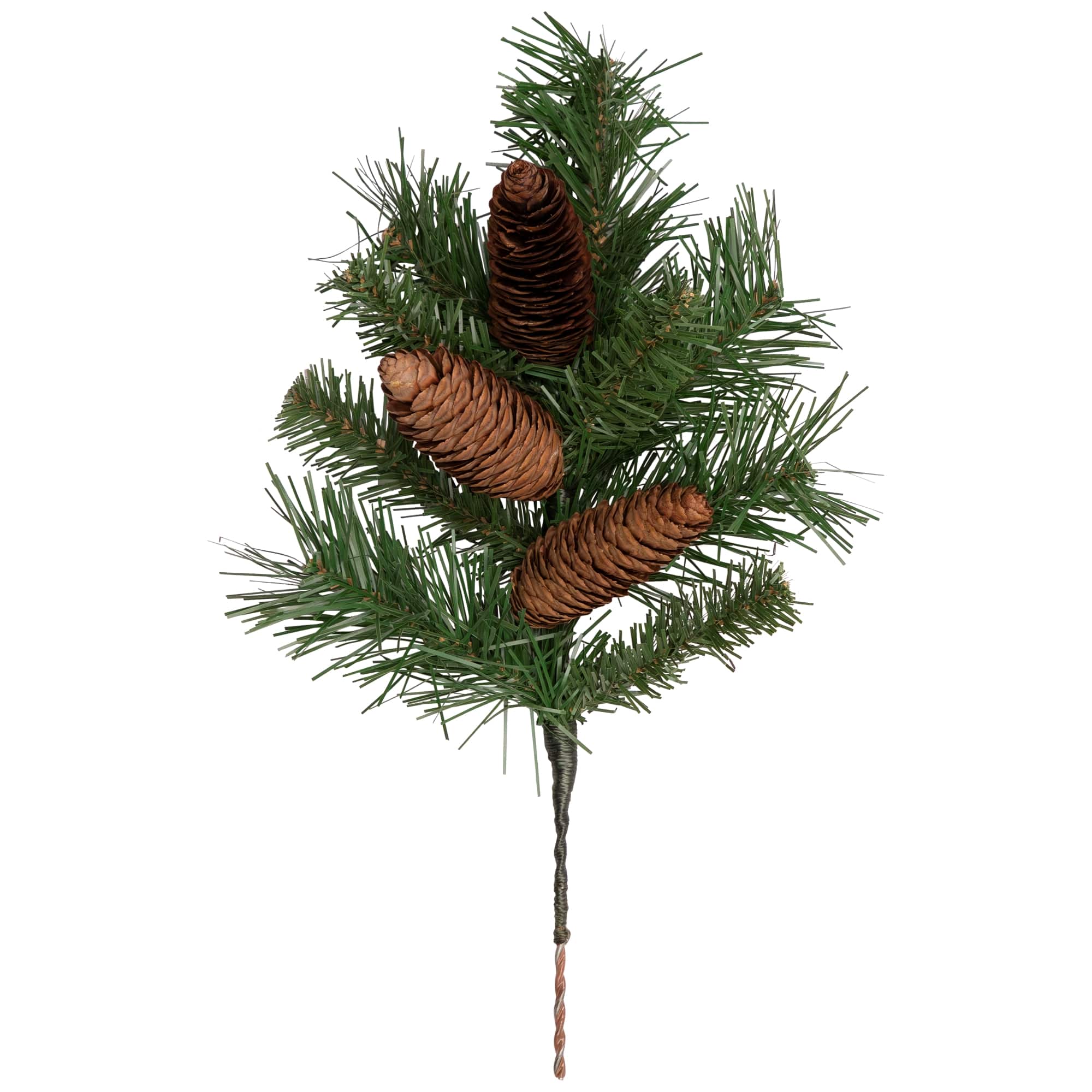 Dakota Red Pine Stem with Pine Cones