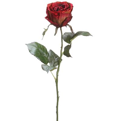 ROSE BUD
<otonaMUSE雑誌掲載>ジャカードカーディガン Single Hot Pink Bud Vase Rose Arrangement in White Oak, TX