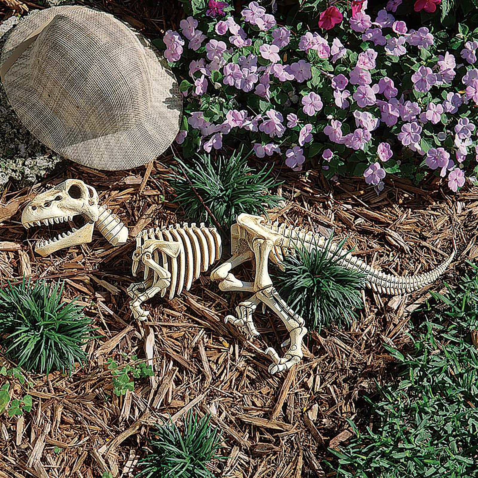 Design Toscano Raptor Skeleton Garden Sculpture