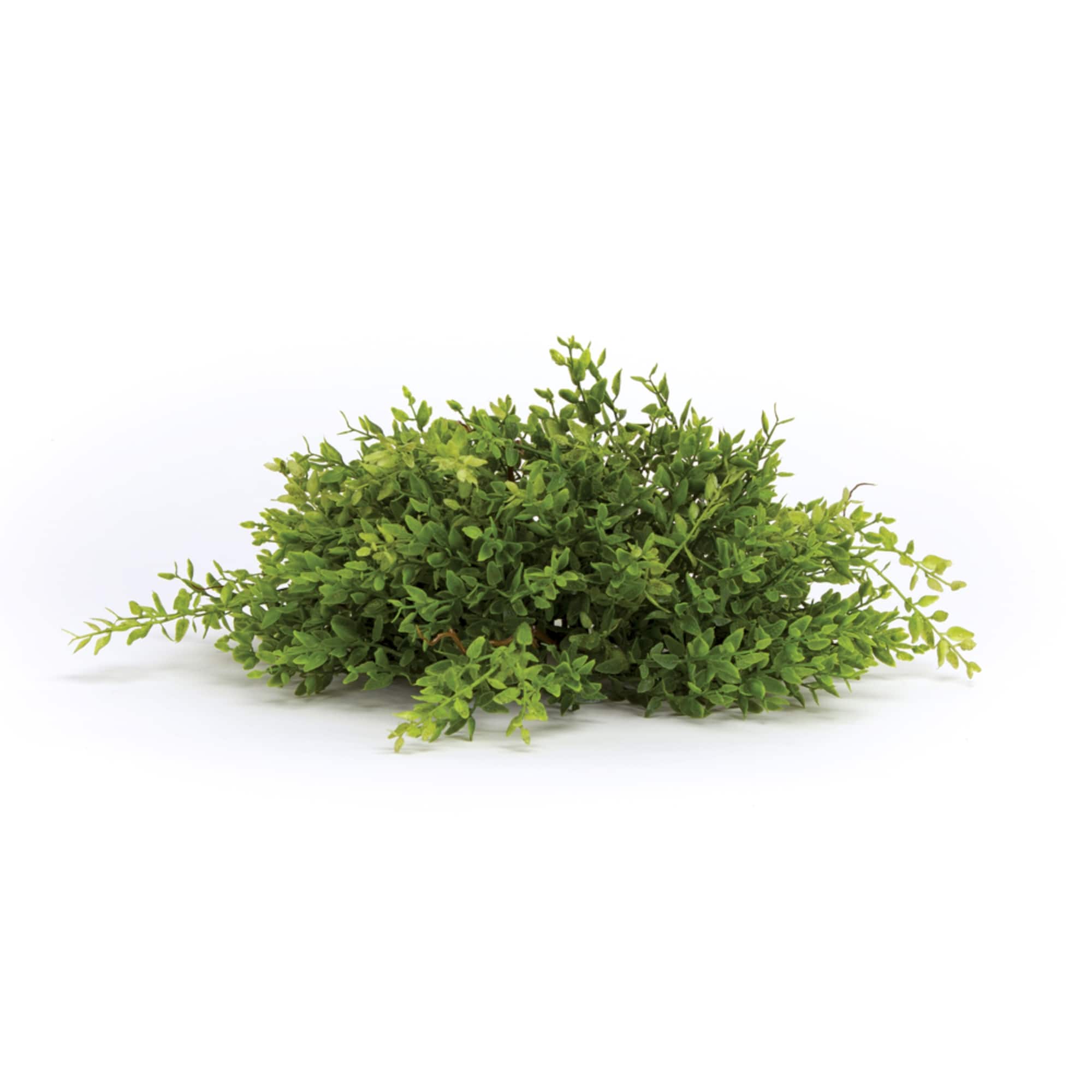 14" Mini Leaf Half Orb Set