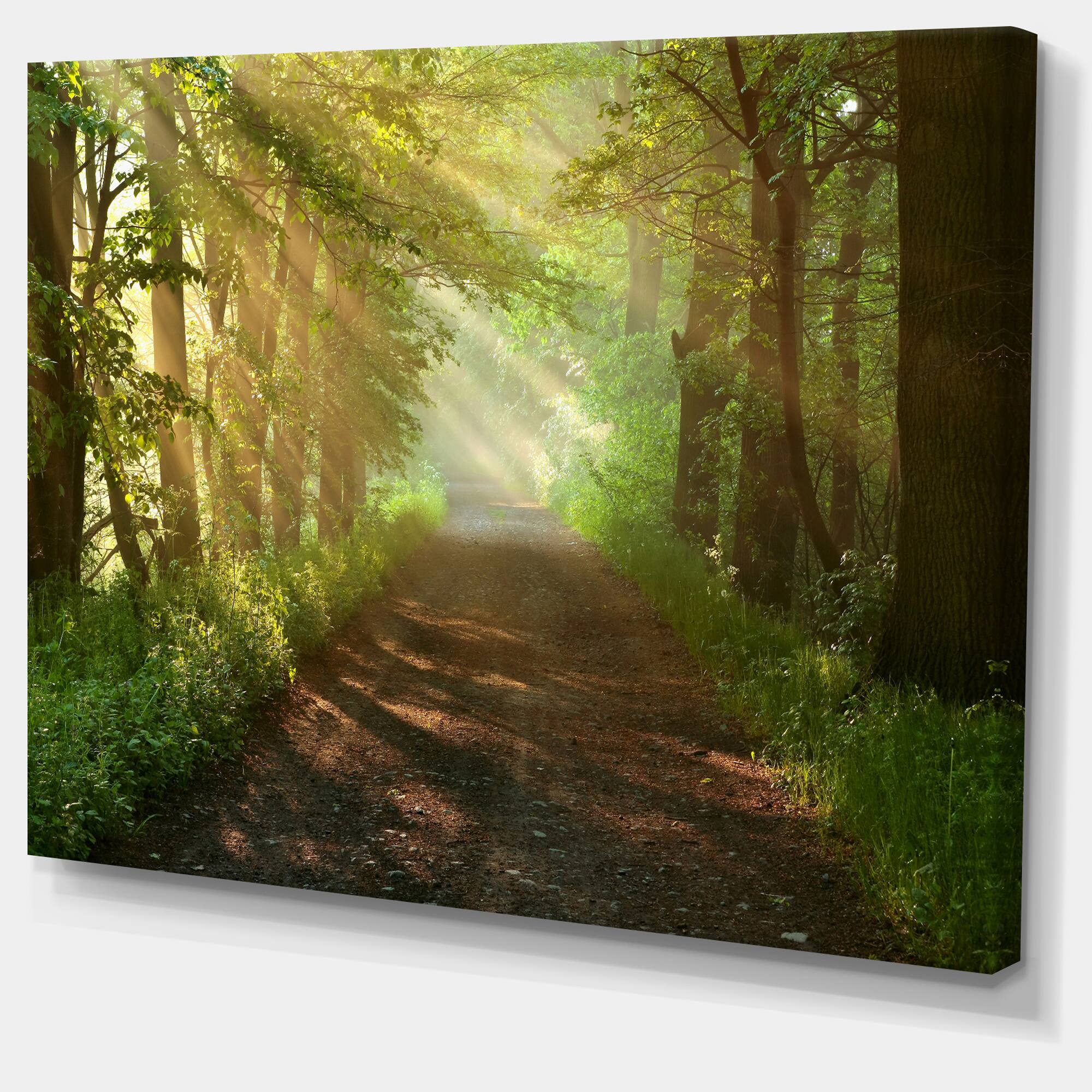 Designart - Suns Peeks into Forest - Landscape Photography Canvas Print