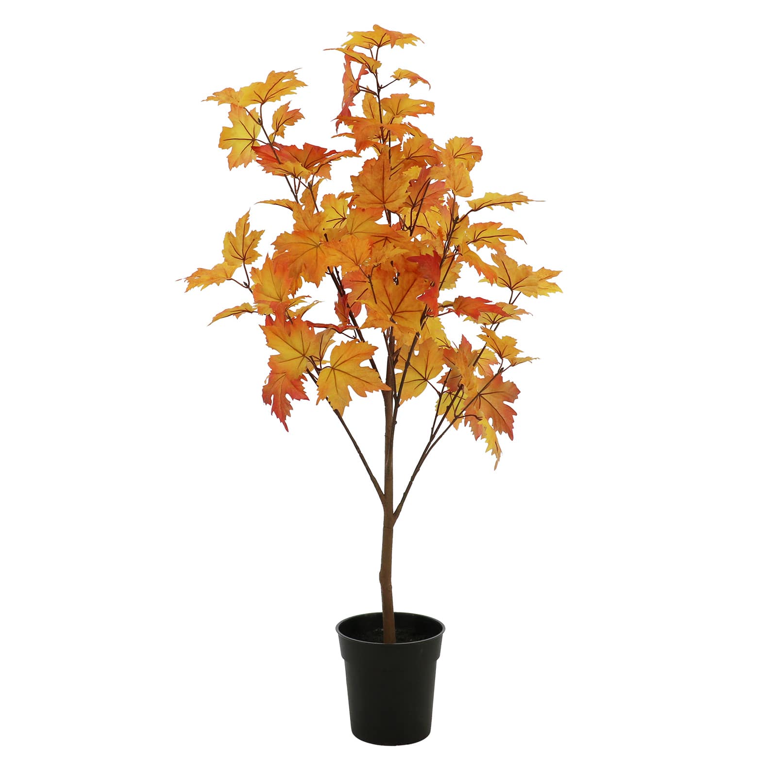 4ft. Orange Maple Tree by Ashland&#xAE;