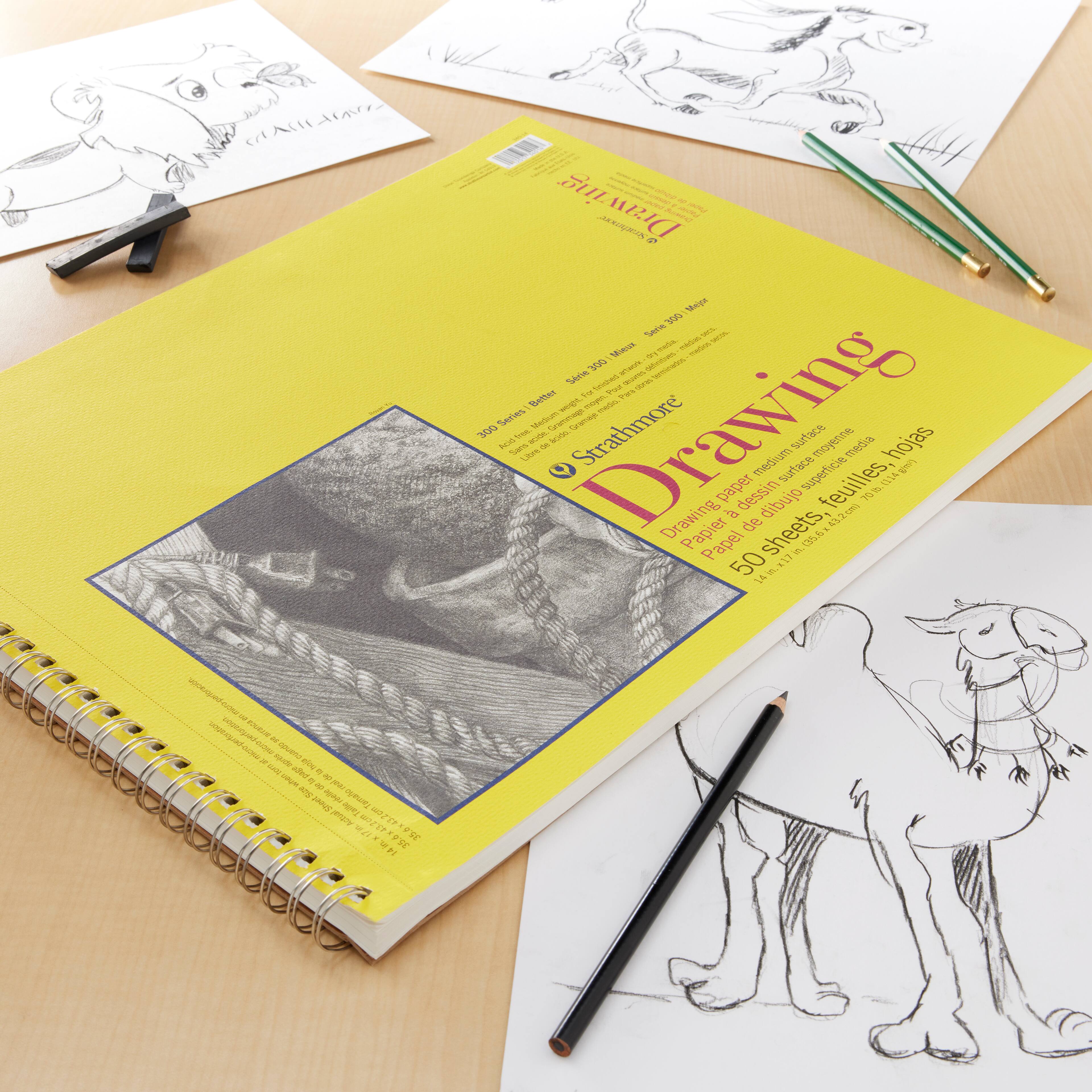 12 Pack: Strathmore® 300 Series Wired Drawing Paper Pad, 50 Sheets