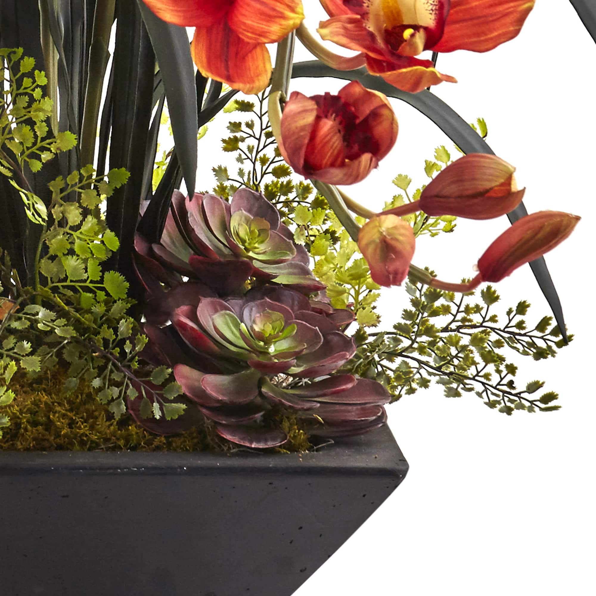 3ft. Red Boat Orchid Arrangement in Black Vase