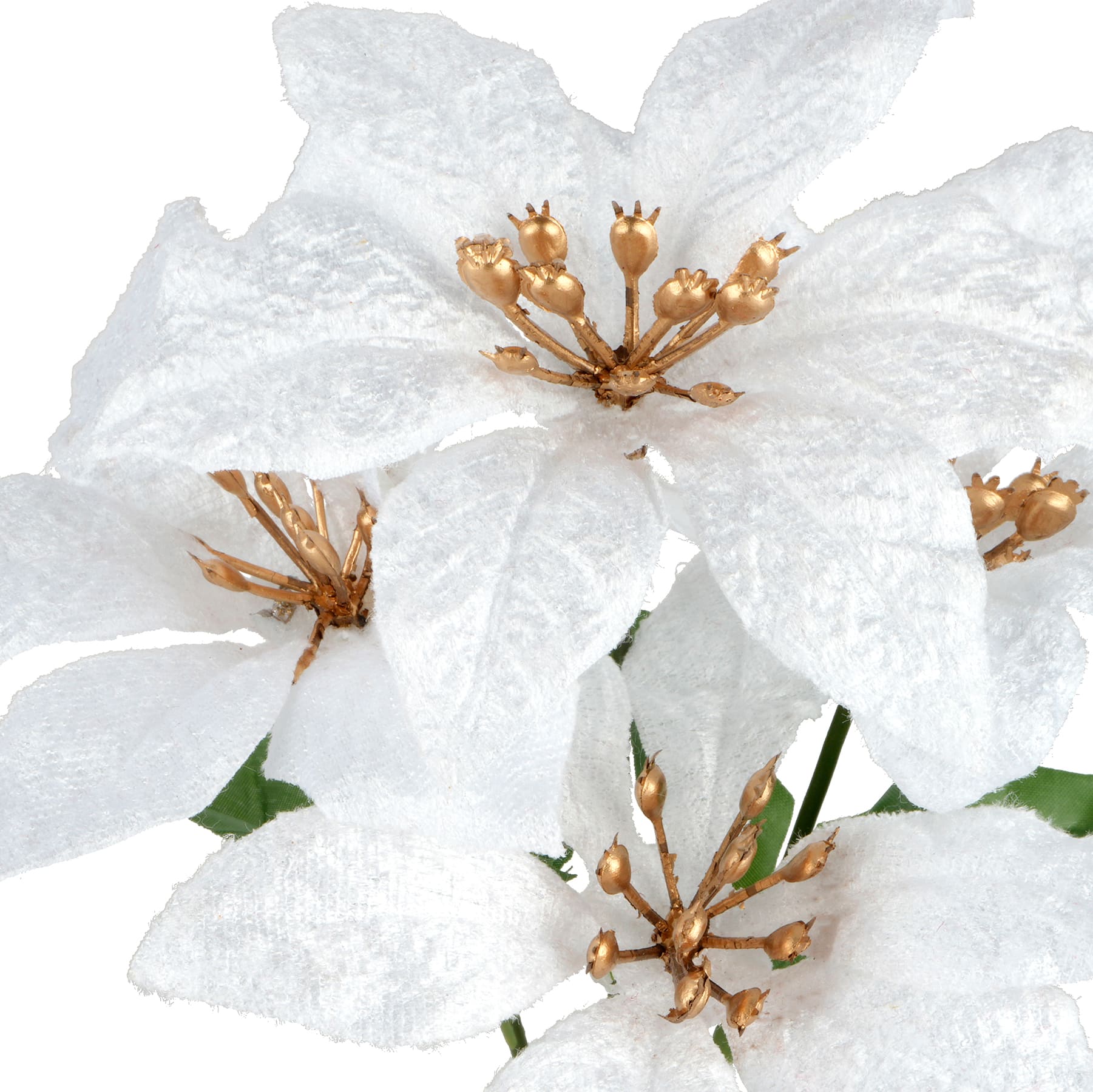 9&#x22; White Poinsettia Bush by Ashland&#xAE;