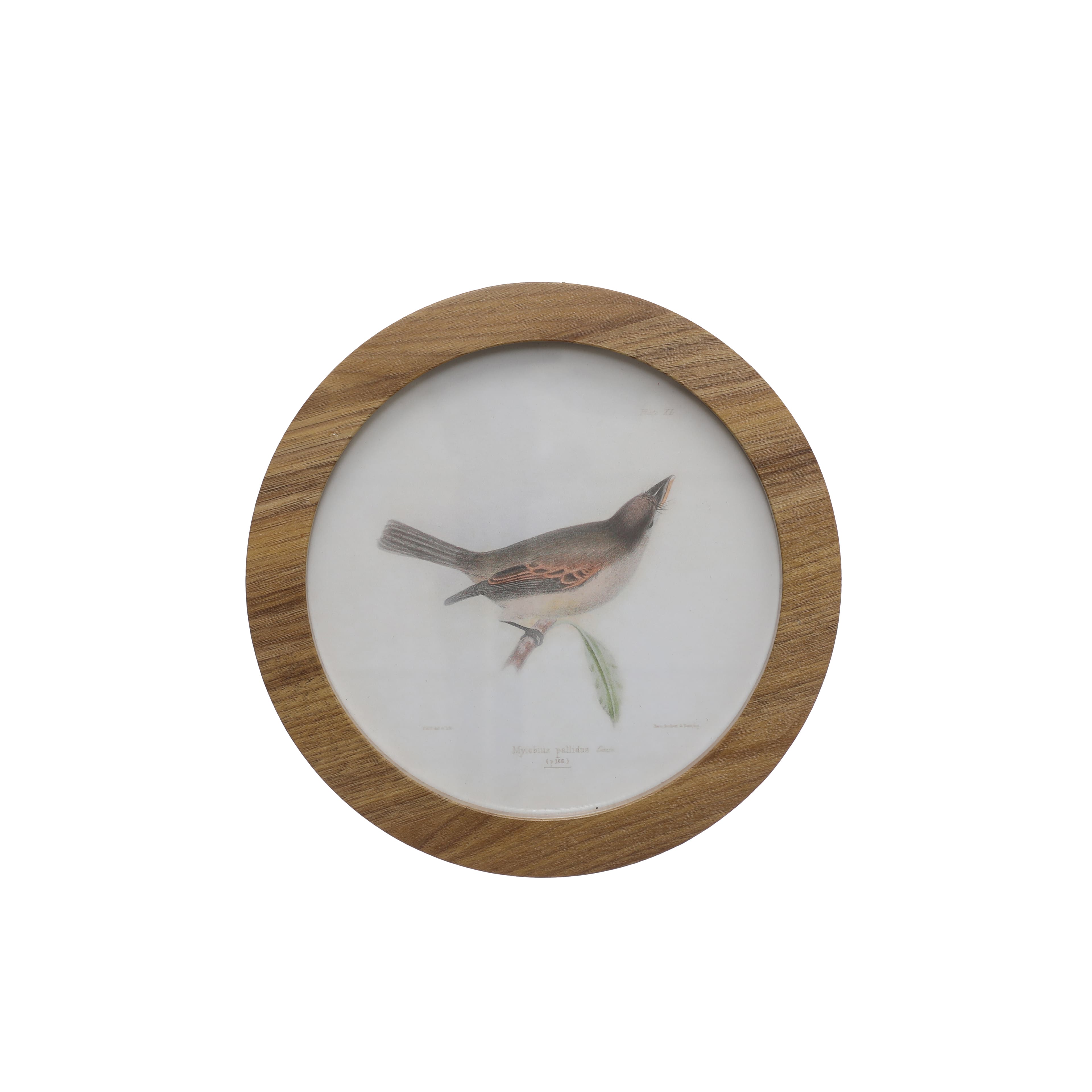 Bird A Wall D&#xE9;cor by Ashland&#xAE;