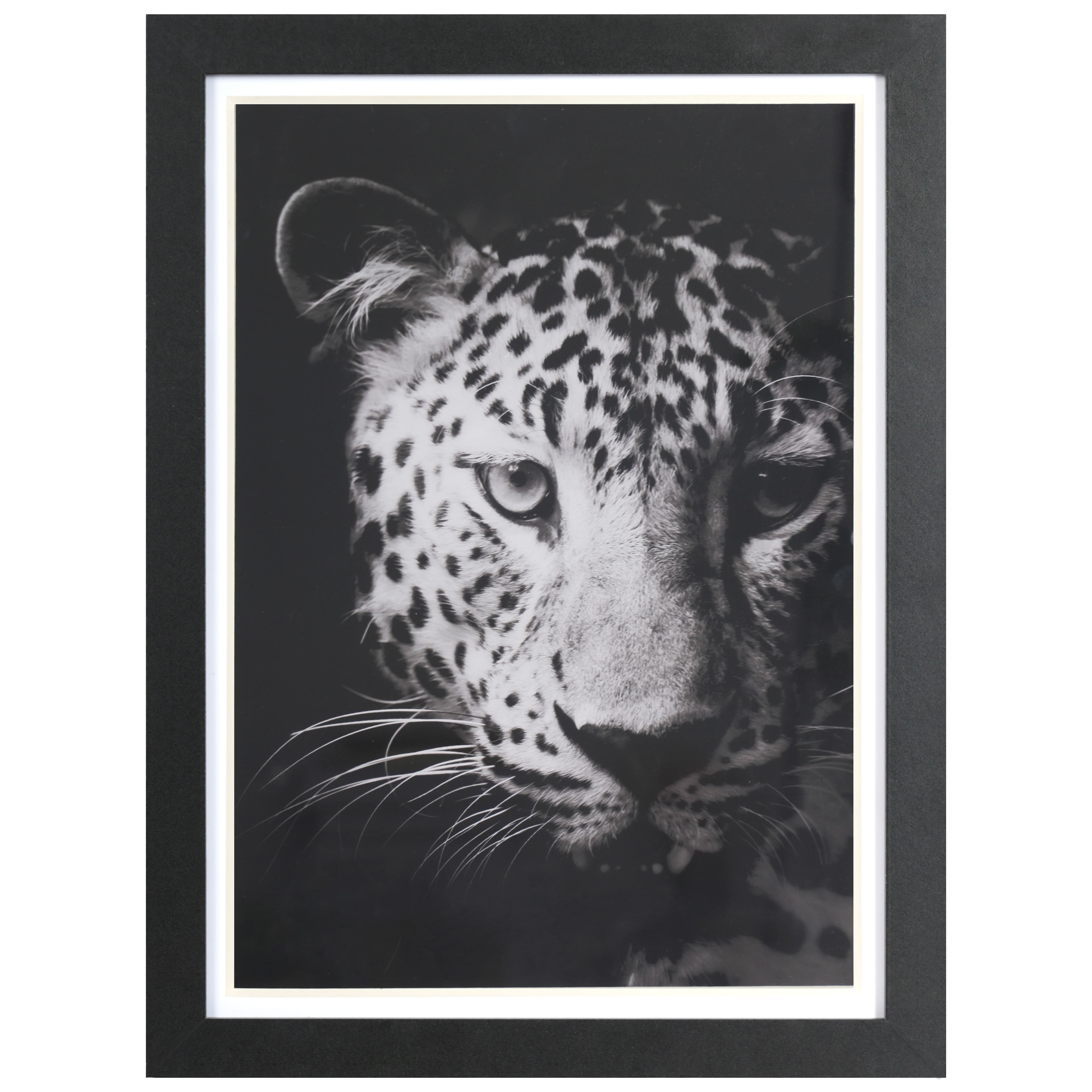 12&#x22; x 16&#x22; Leopard Face Photo Wall D&#xE9;cor by Ashland&#xAE;