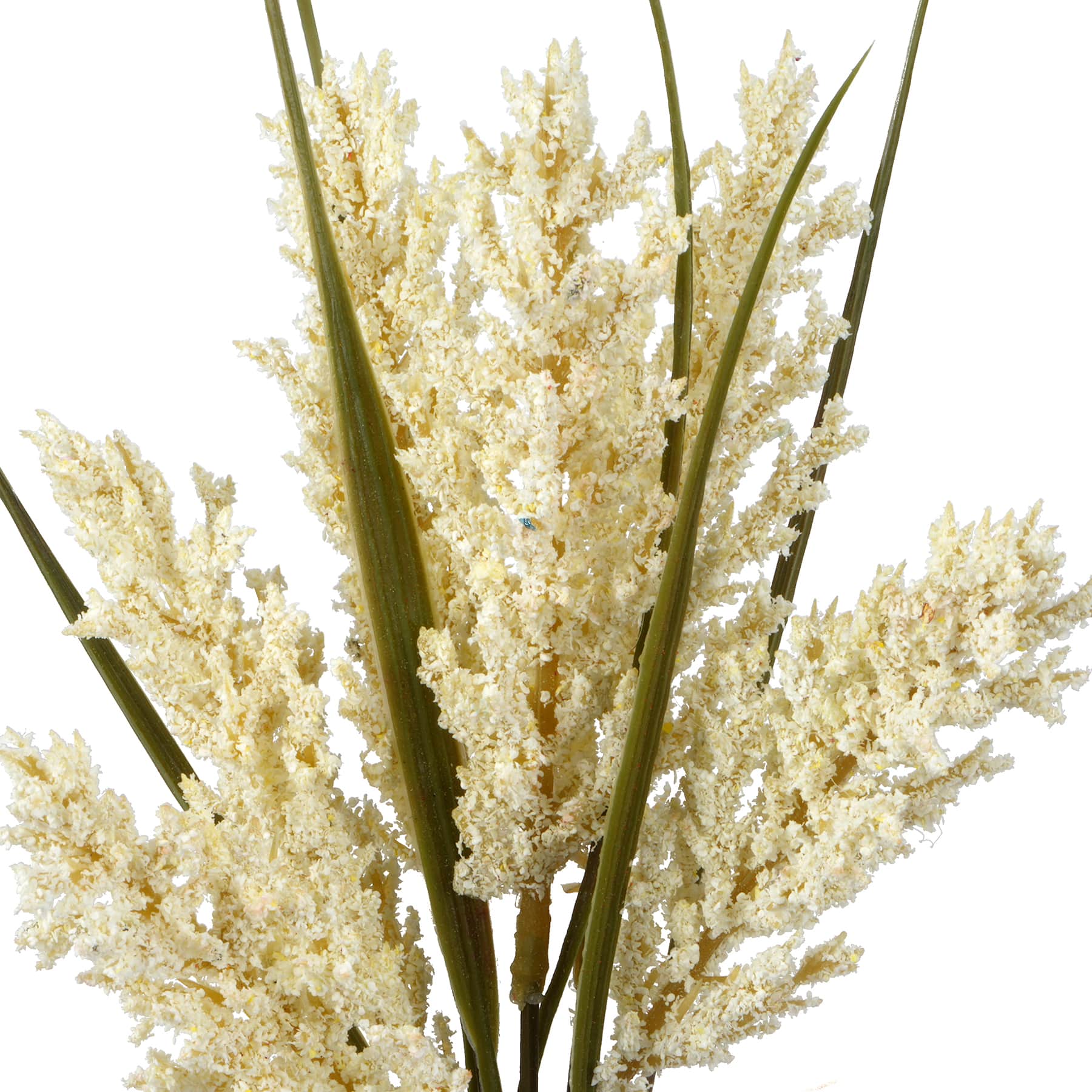 12&#x22; Mini Foxtail Bundle by Ashland&#xAE;