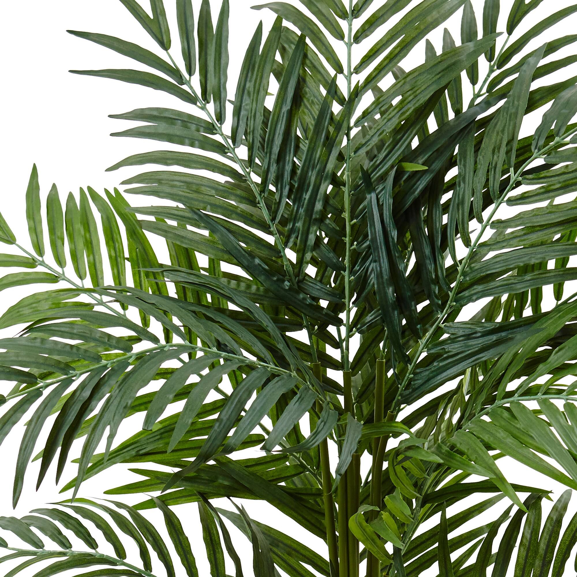 4.5ft. Areca Palm Tree in White Oval Planter