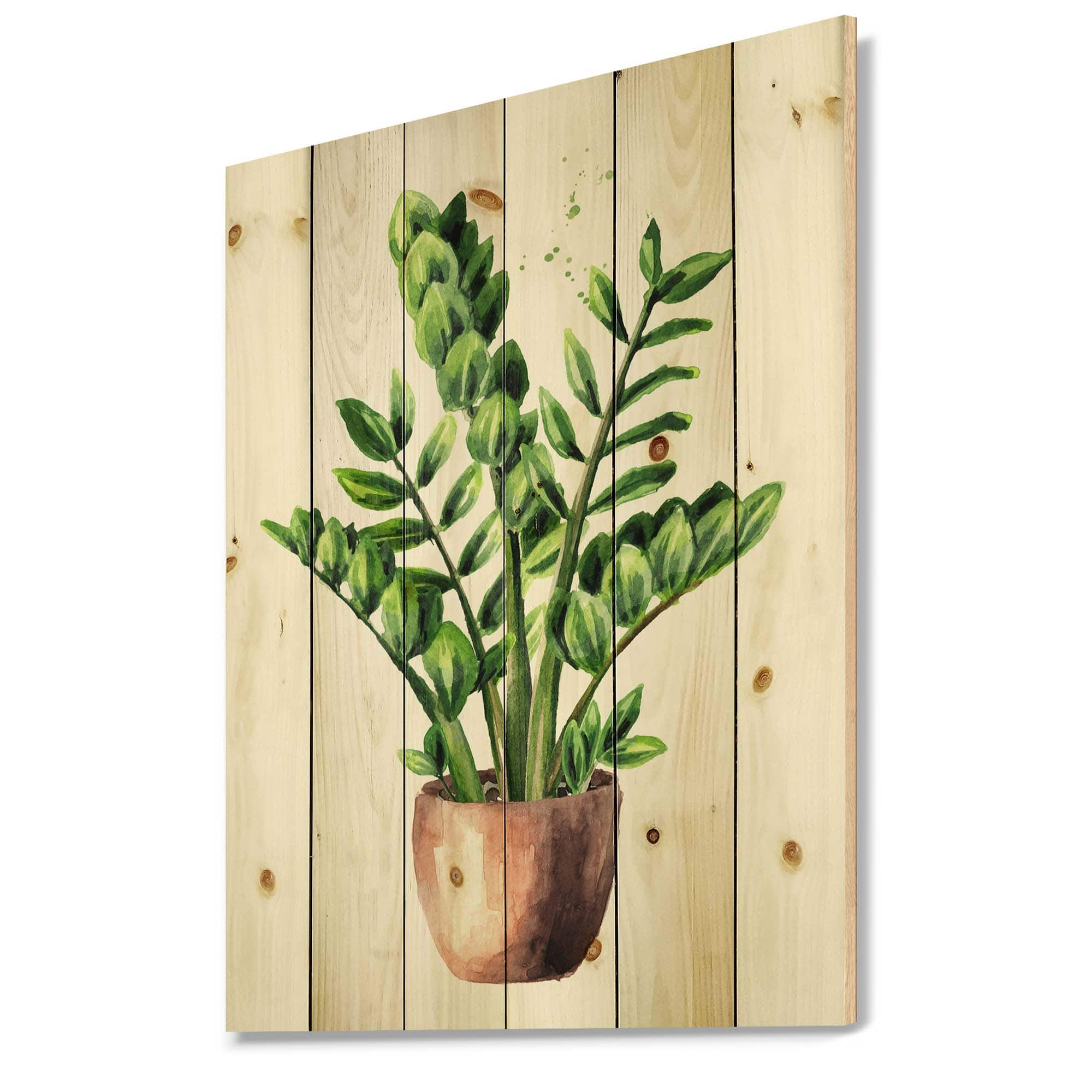 Designart - Zamioculcas Tropical Plant With Green Leaves - Traditional Print on Natural Pine Wood