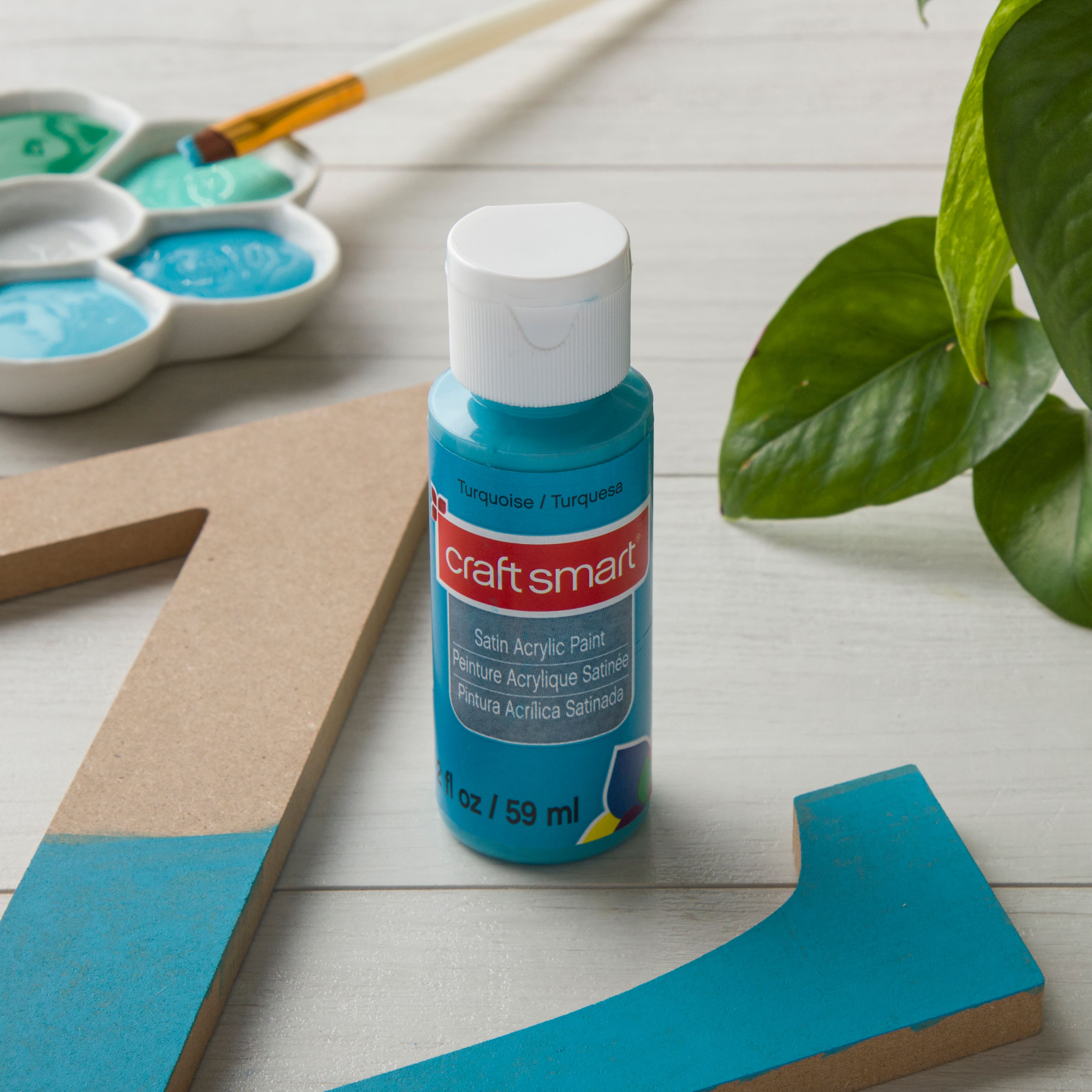 Acrylic Paint by Craft Smart®, 2oz.