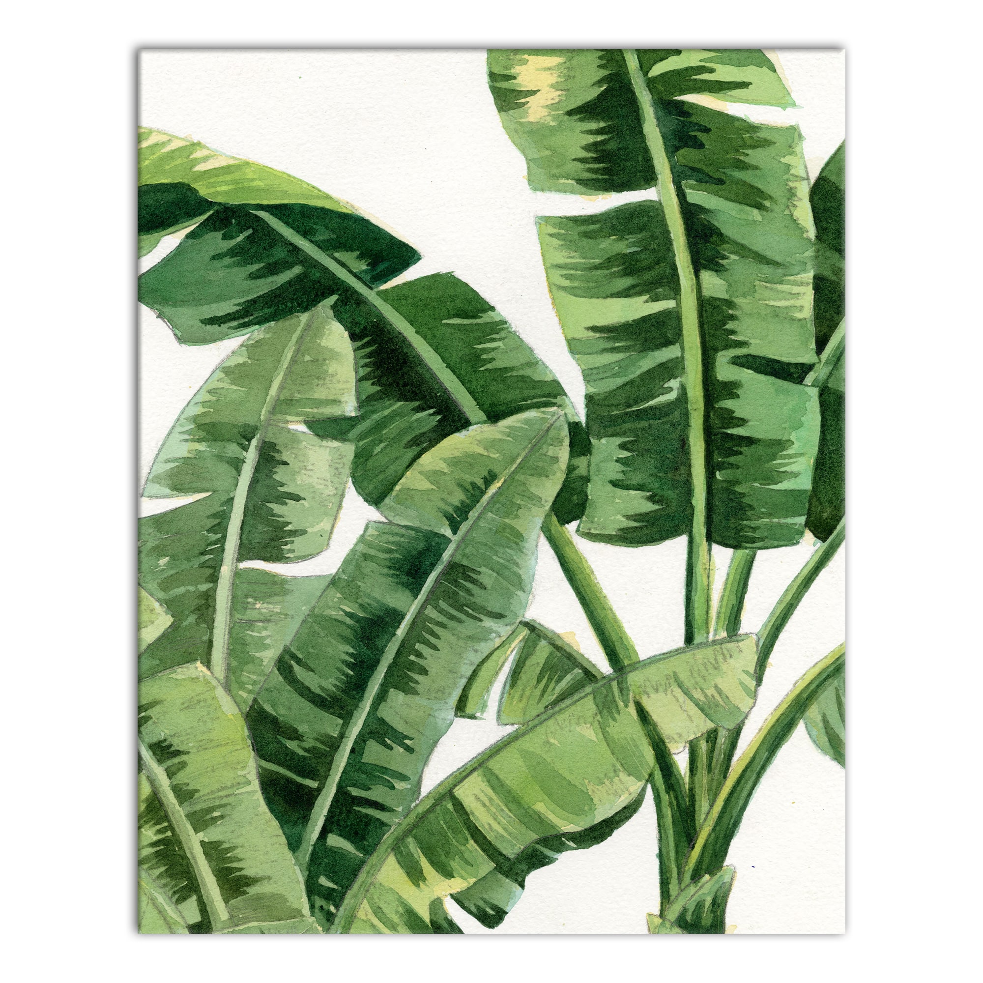 Palm Fronds 16&#x22; x 20&#x22; Canvas Wall Art