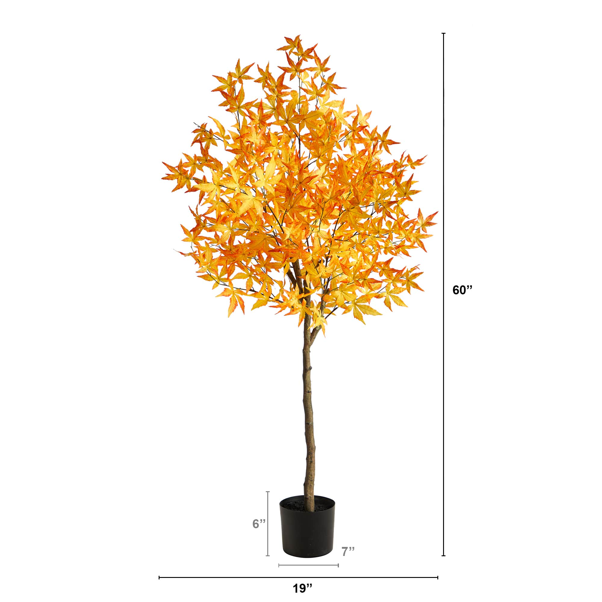 5ft. Potted Yellow Autumn Maple Tree